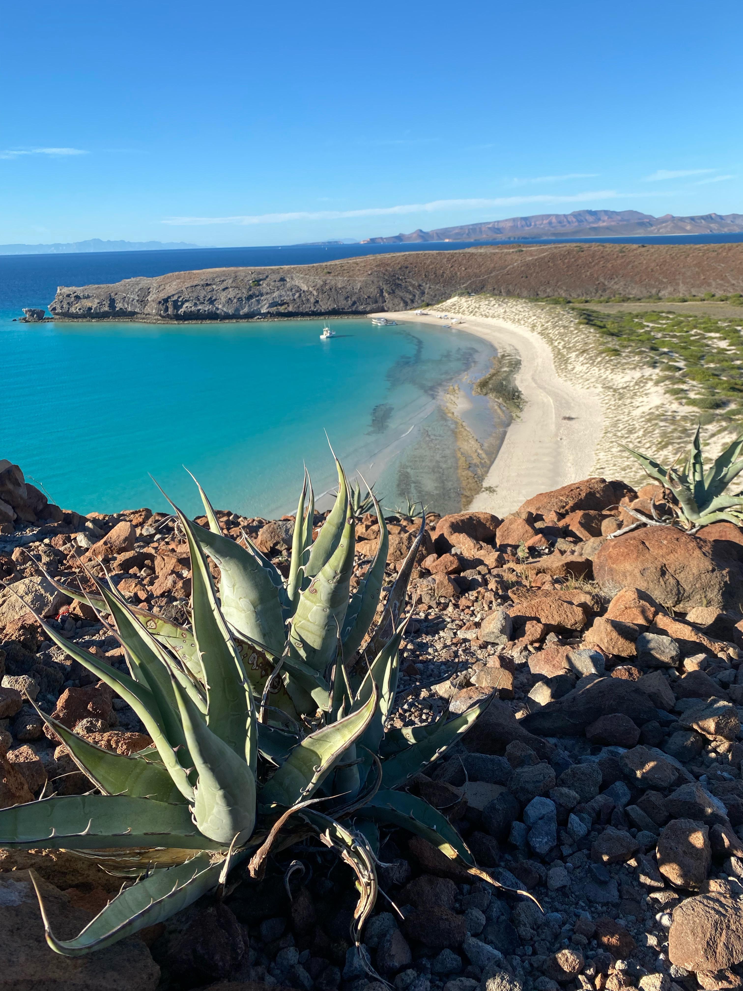 Cabo to La Paz Private Day Tour: Todos Santos, Balandra Beach & Cerritos Sunset