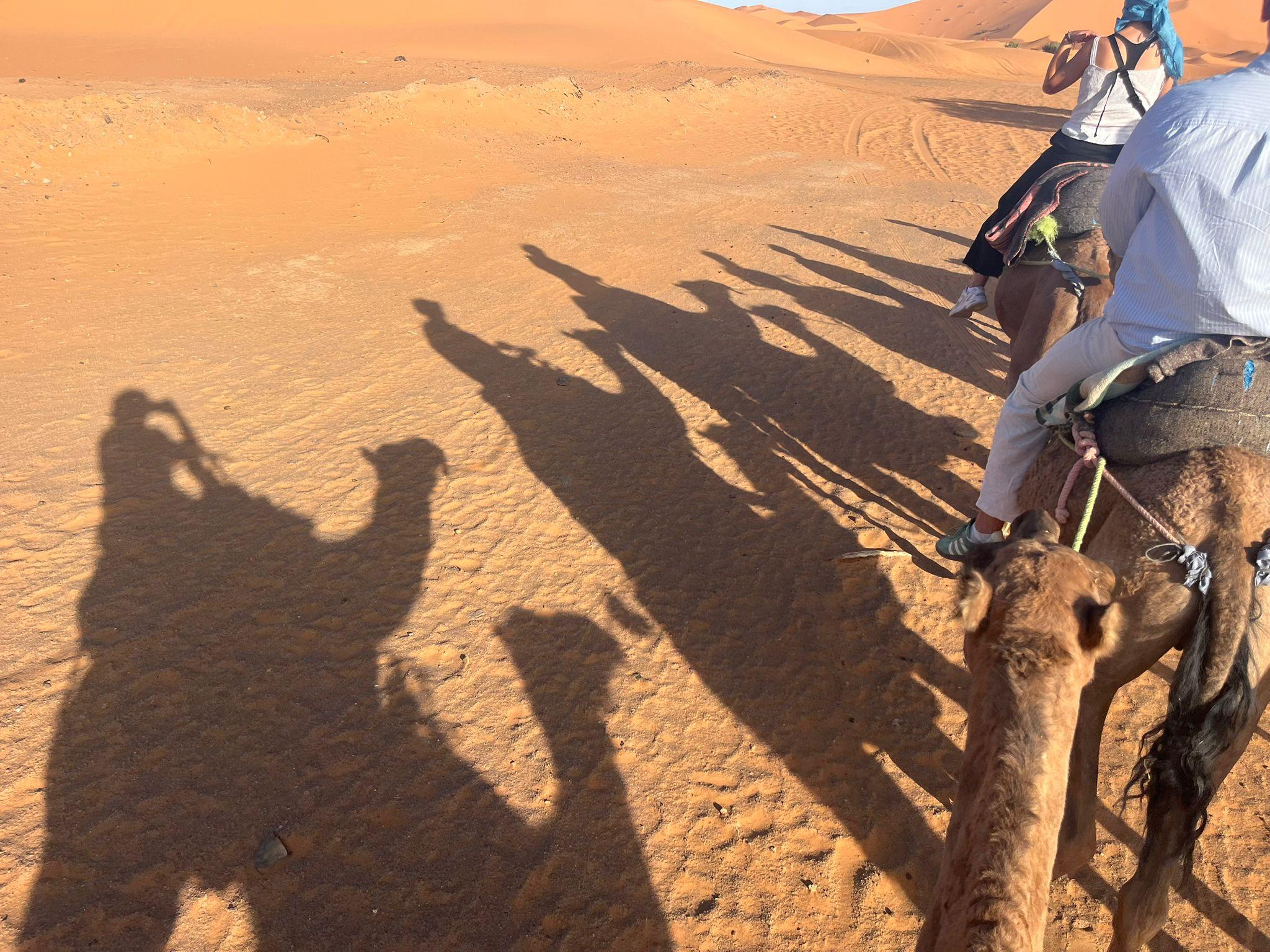 3-Day Sahara Desert Expedition: Fes to Marrakech