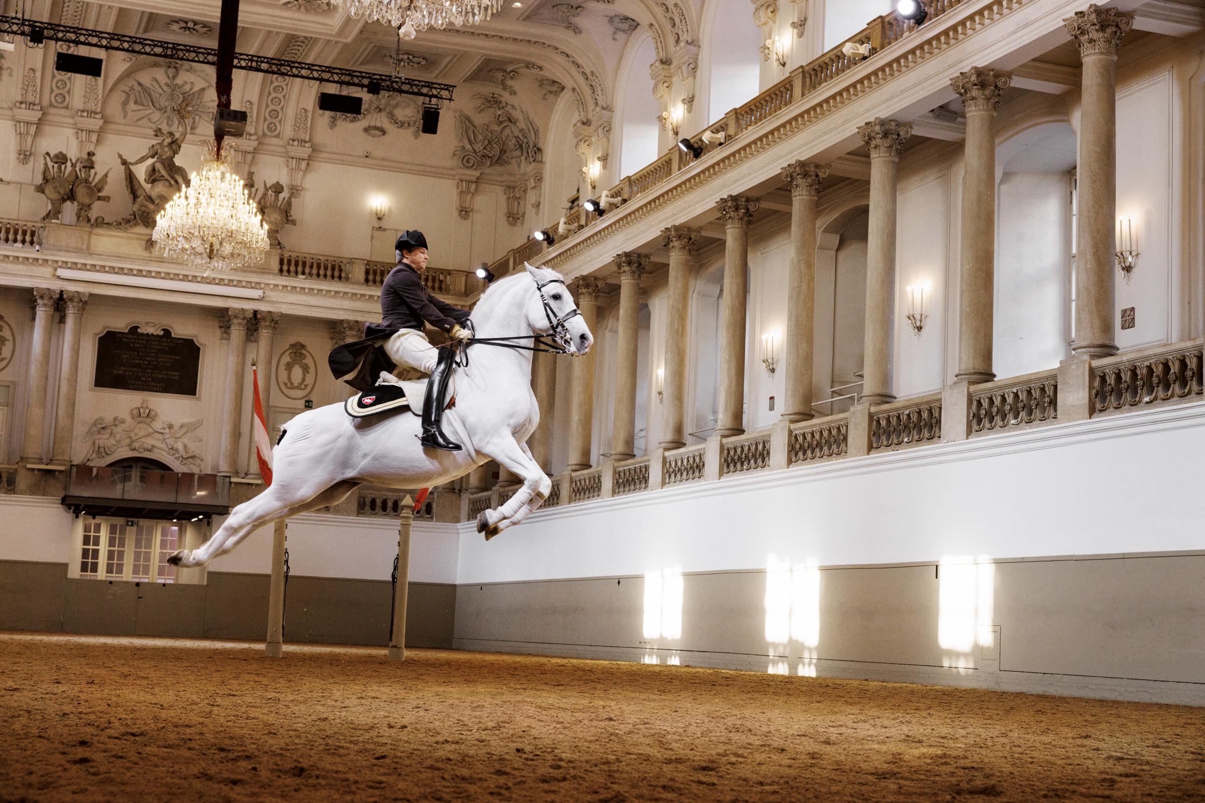 Lipizzan Stallions Performance at Spanish Riding School