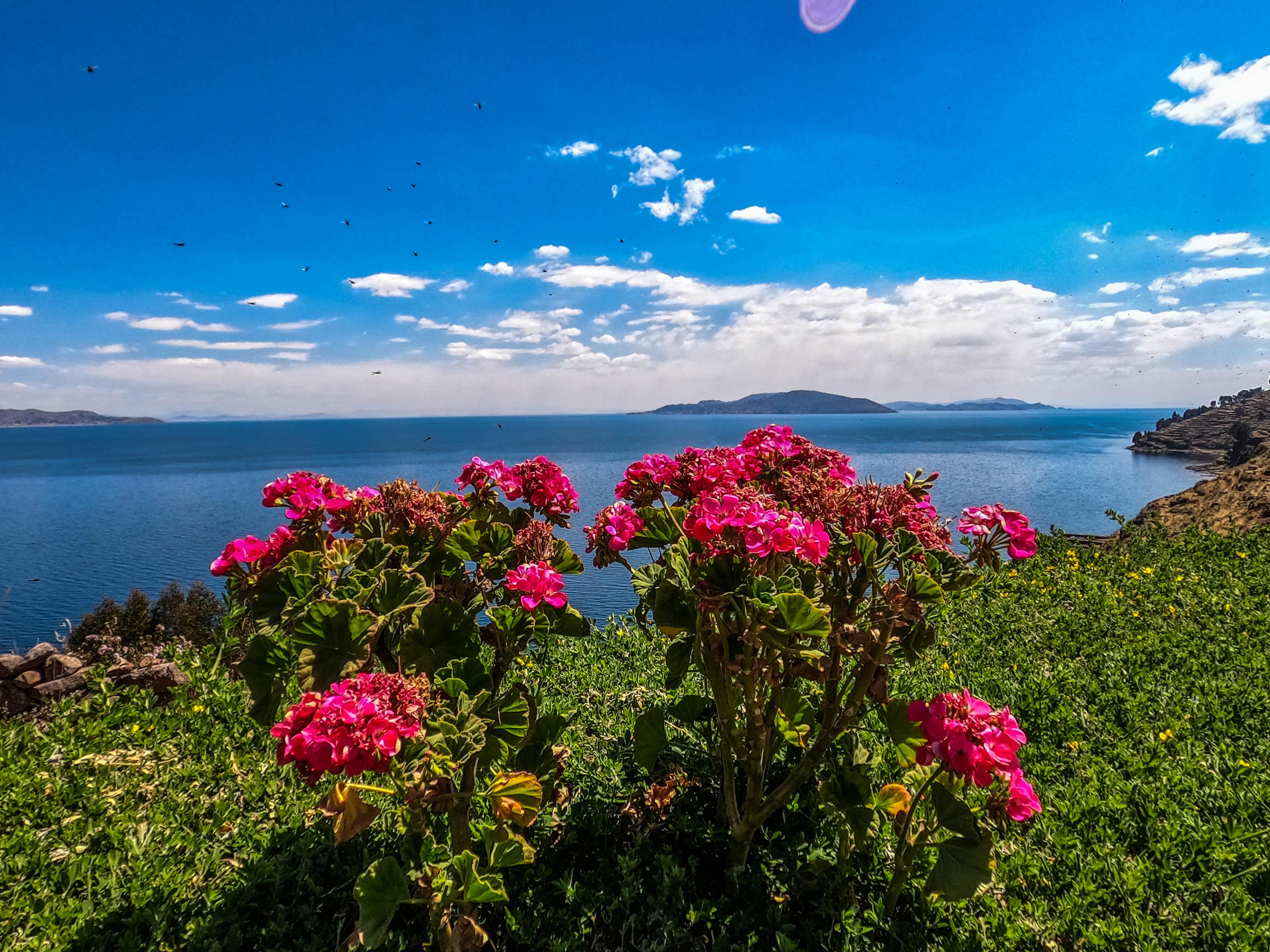 Lake Titicaca: Uros and Taquile Islands Speedboat Expedition
