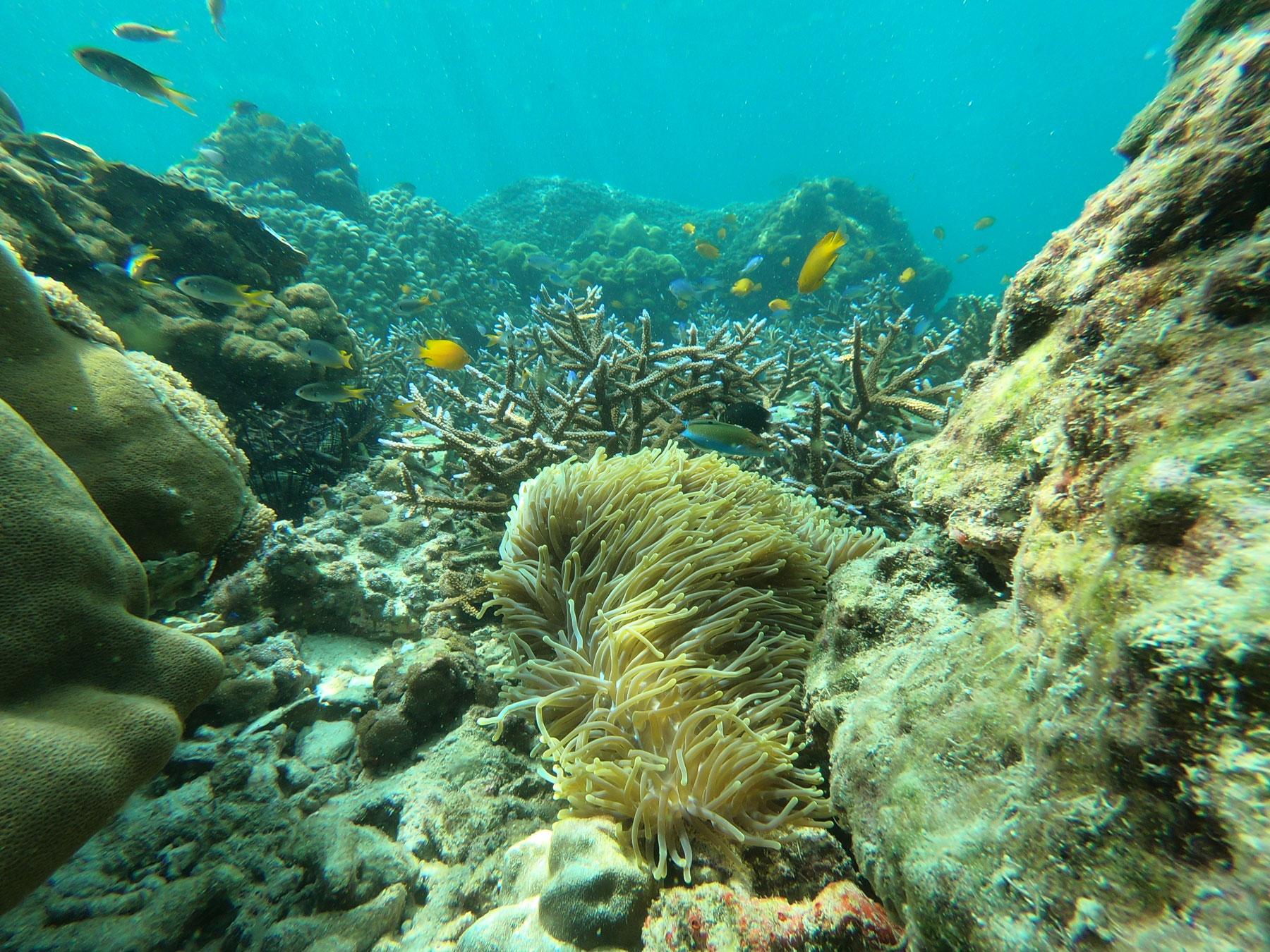 Private Koh Phi Phi Longtail Boat Expedition