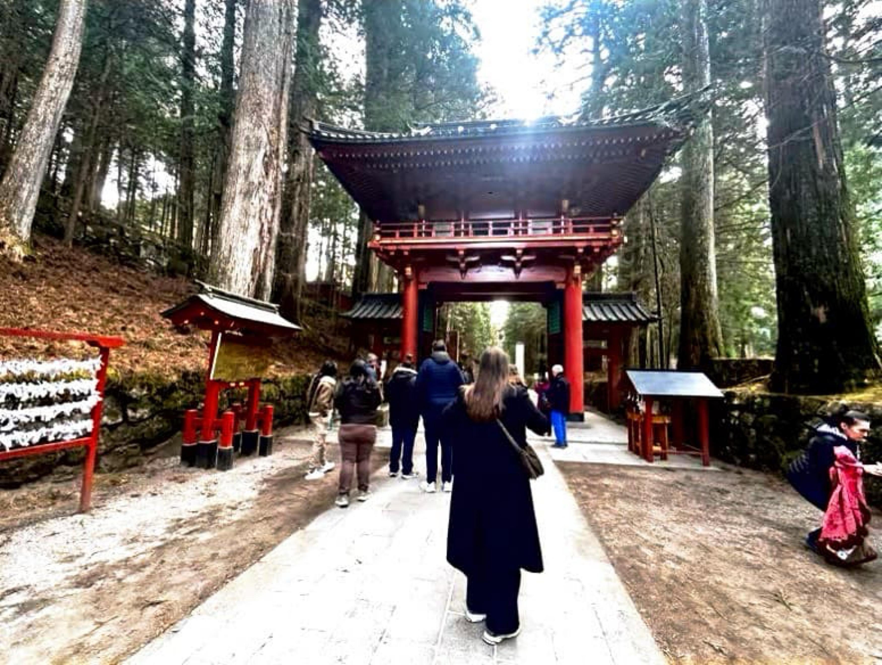 Nikko Photography Day Tour from Tokyo – Private & Customizable