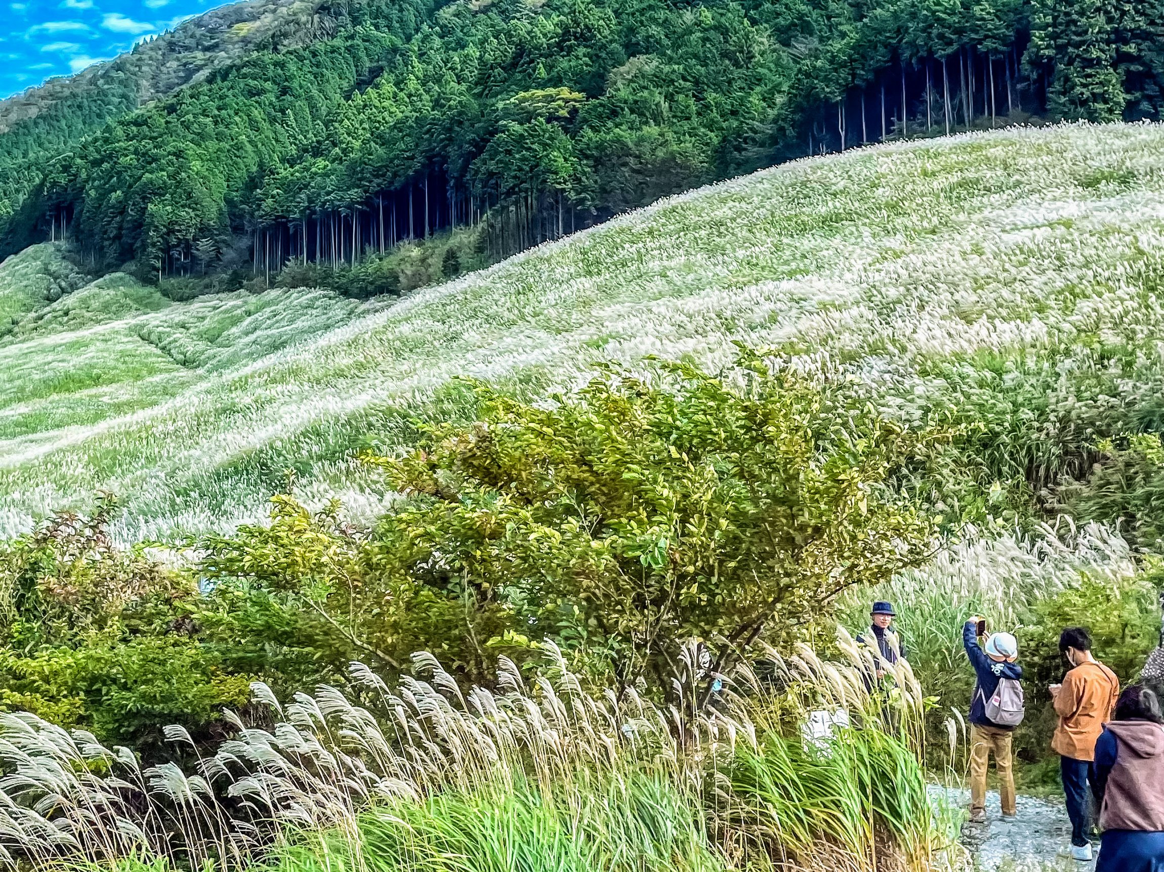 Tokyo to Mt. Fuji, Hakone & Bullet Train Day Tour