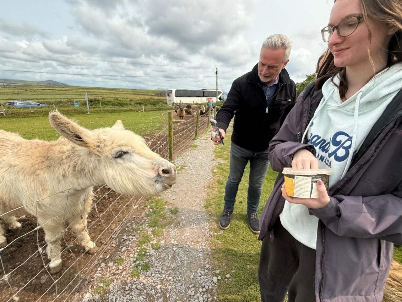 Cliffs of Moher & Wild Atlantic Way Private Luxury Tour