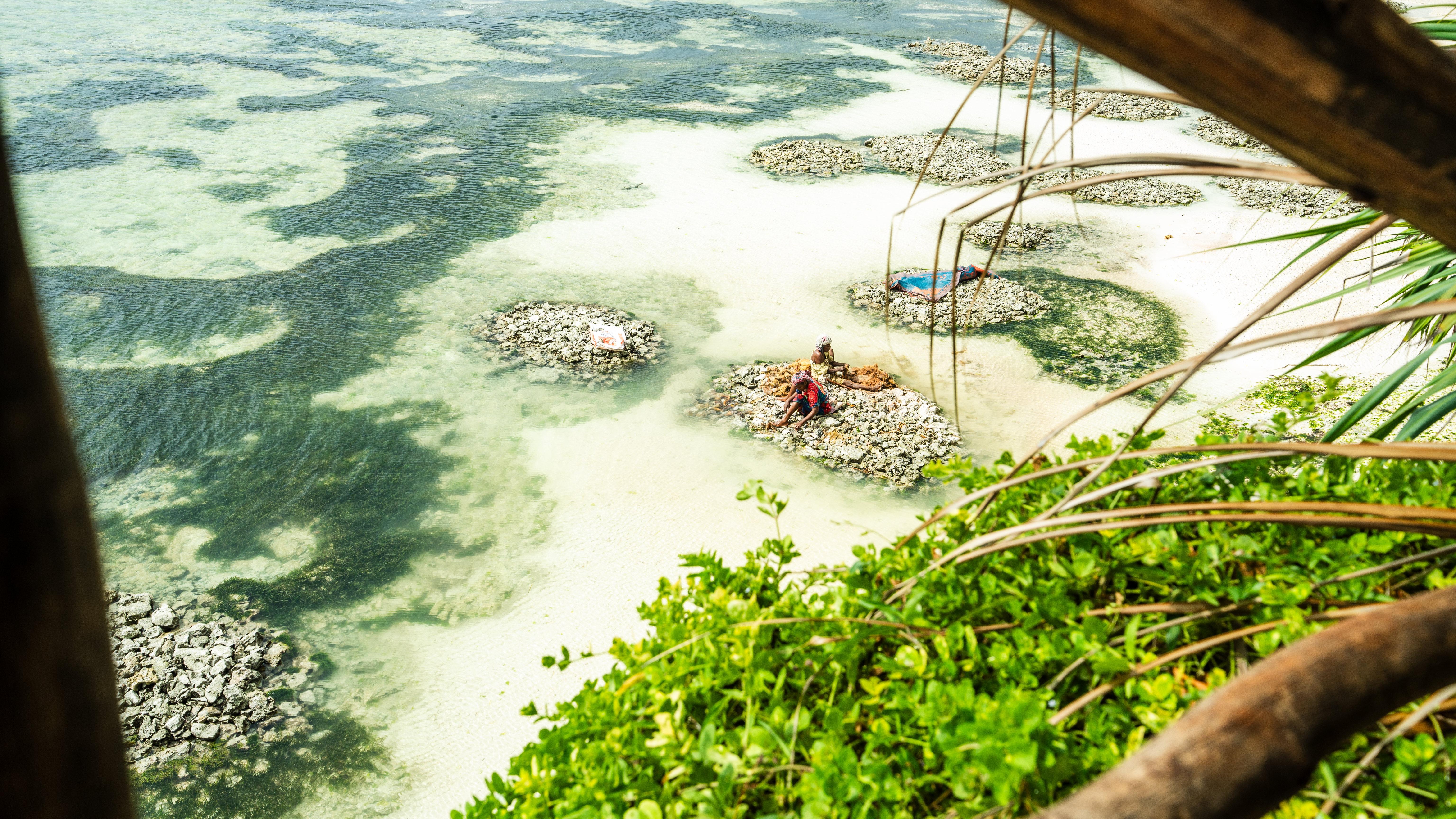 Zanzibar Hidden Gems: Secret Beach, Kuza Cave & Jozani Forest