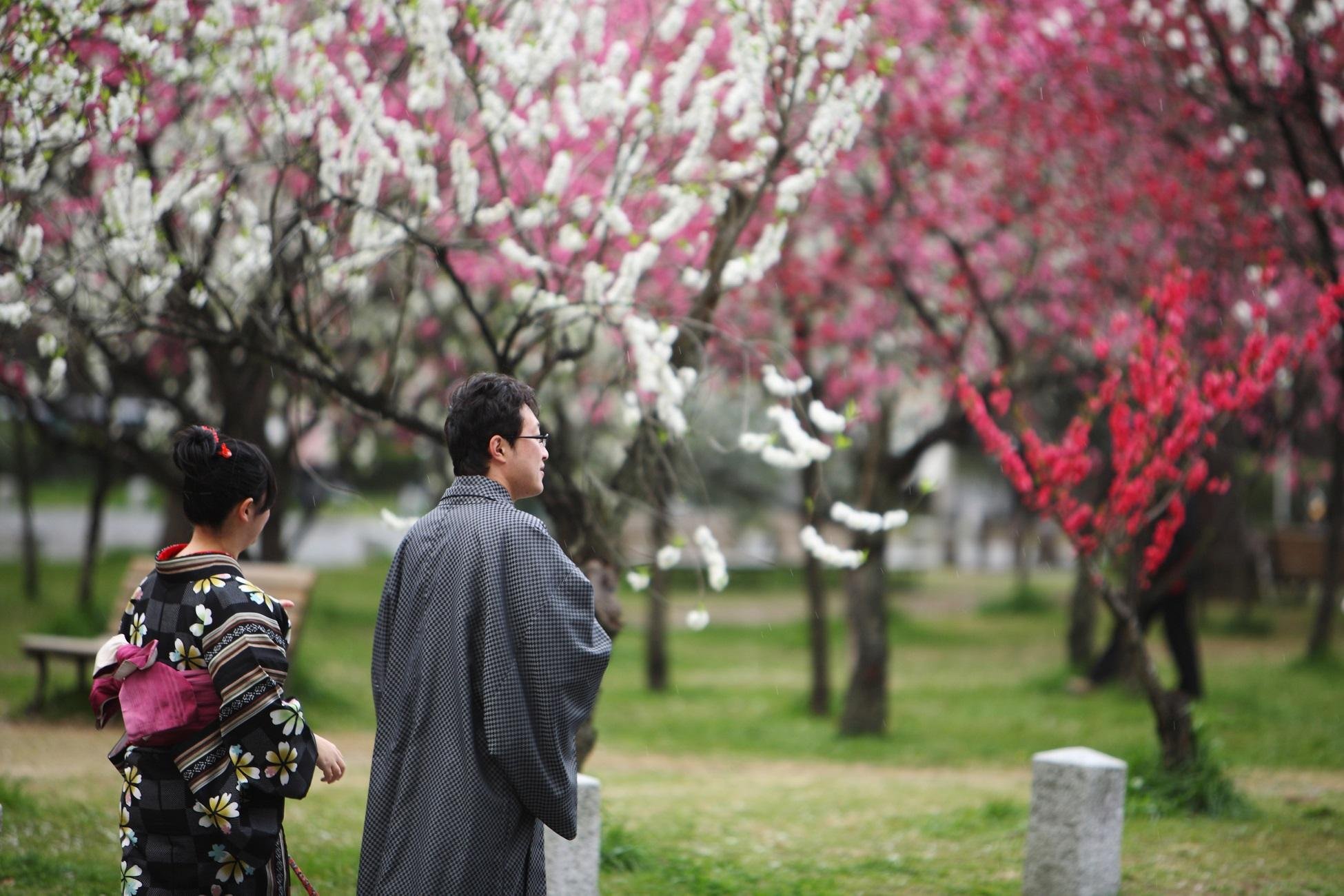 Kyoto Imperial Palace & Nijo Castle Walking Tour