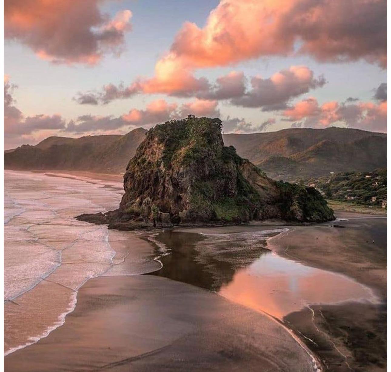 Private Waitākere Ranges, Piha & Mt Eden Tour