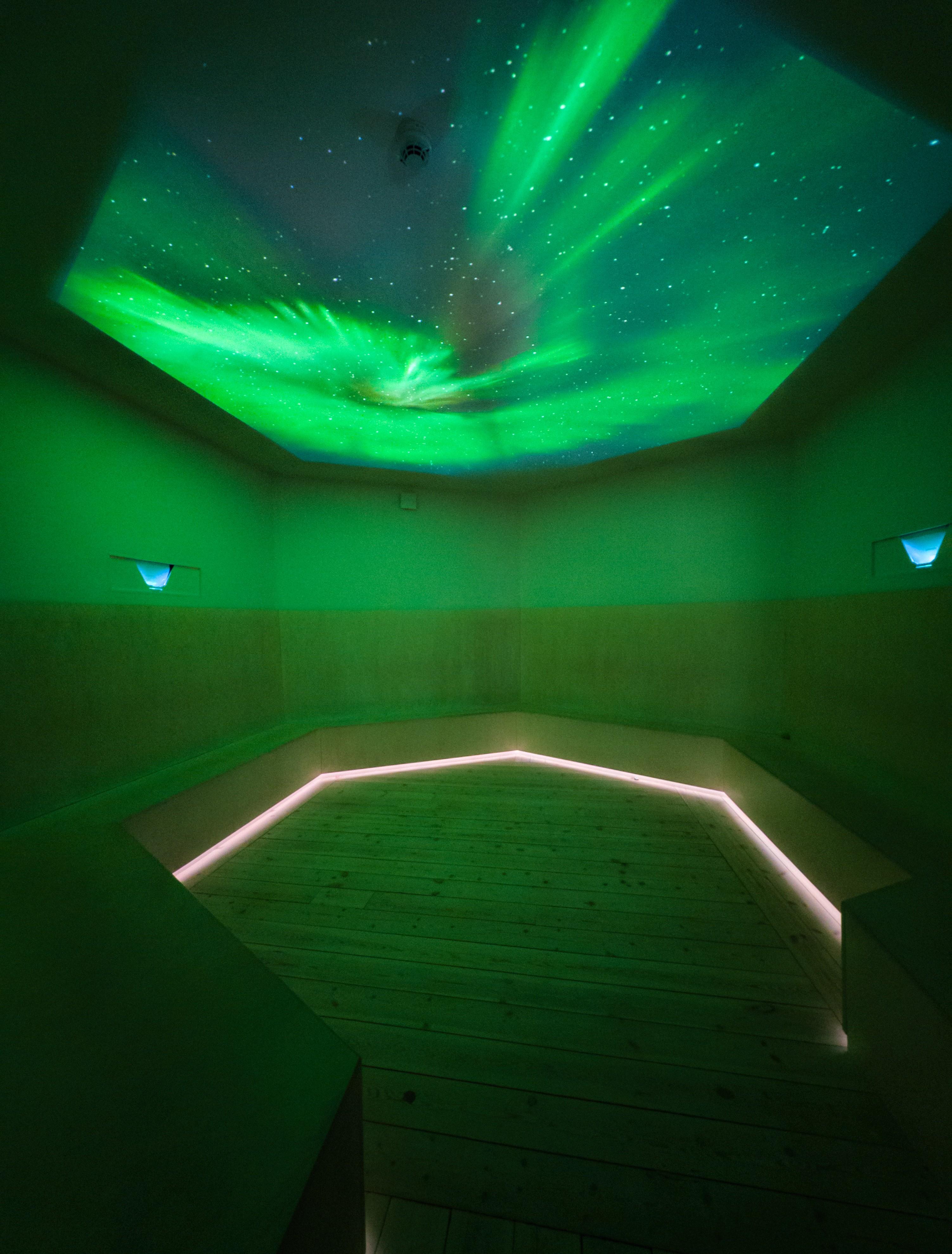 Rovaniemi Full-Day: Santa Claus Village, Arctic Nature & Arktikum Museum