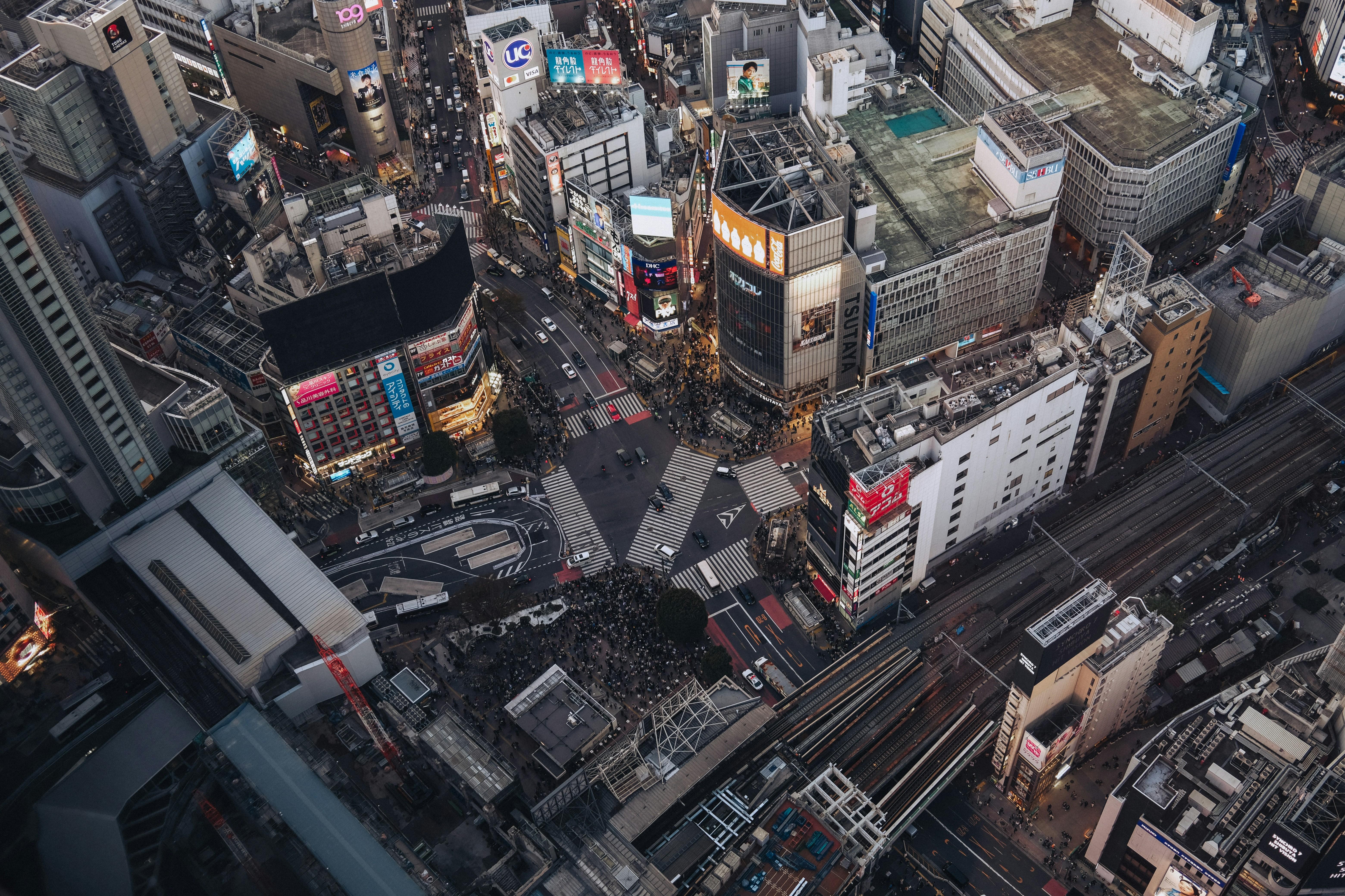 Shibuya After Dark: Night Walking Tour & Tokyo Rooftop Views