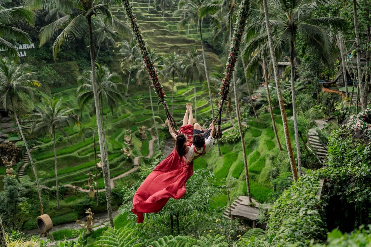 Ubud Highlights: Monkey Forest, Rice Terrace & Tirta Empul