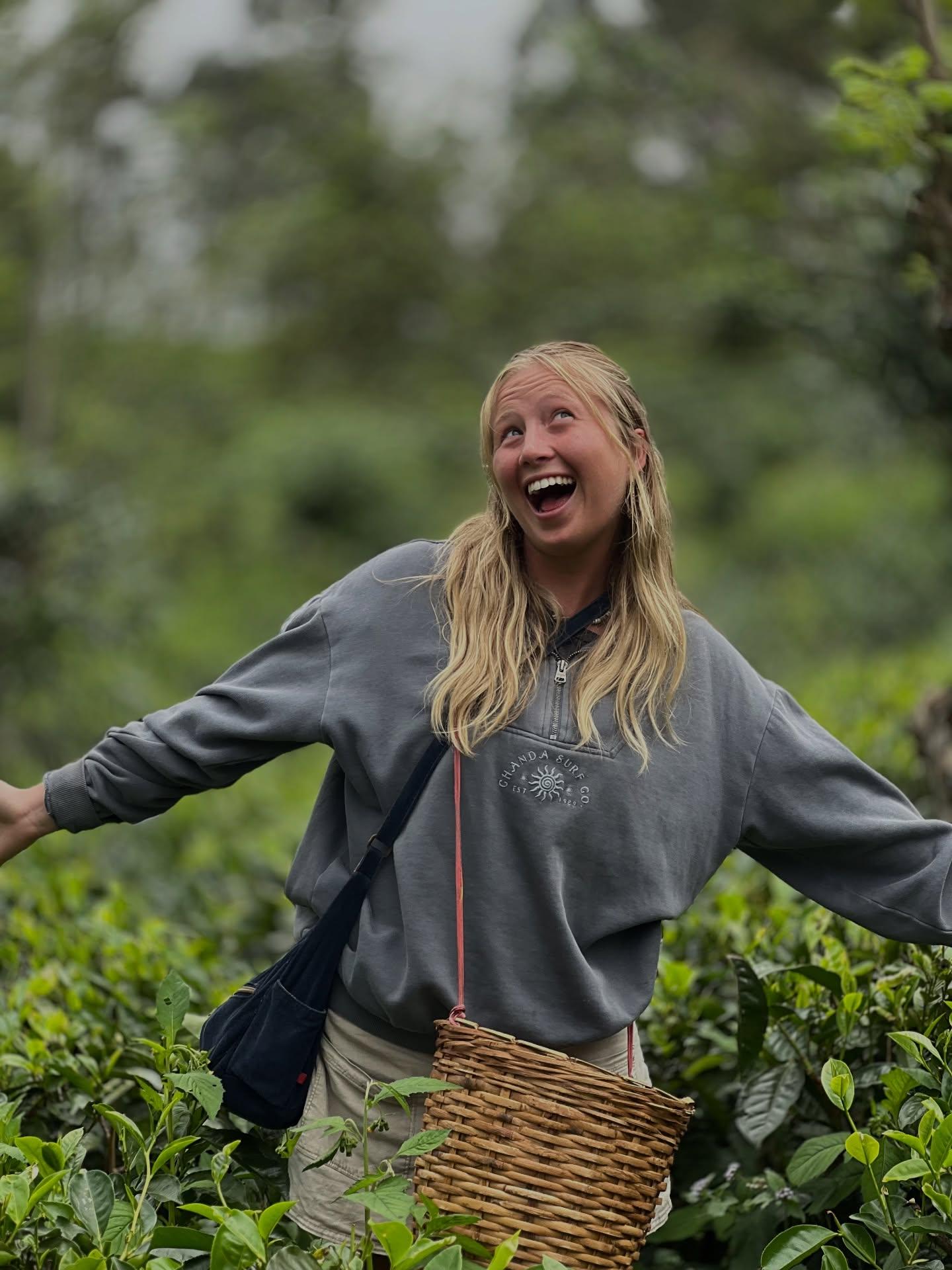Ella: Hands-On Tea Crafting and Tasting Experience