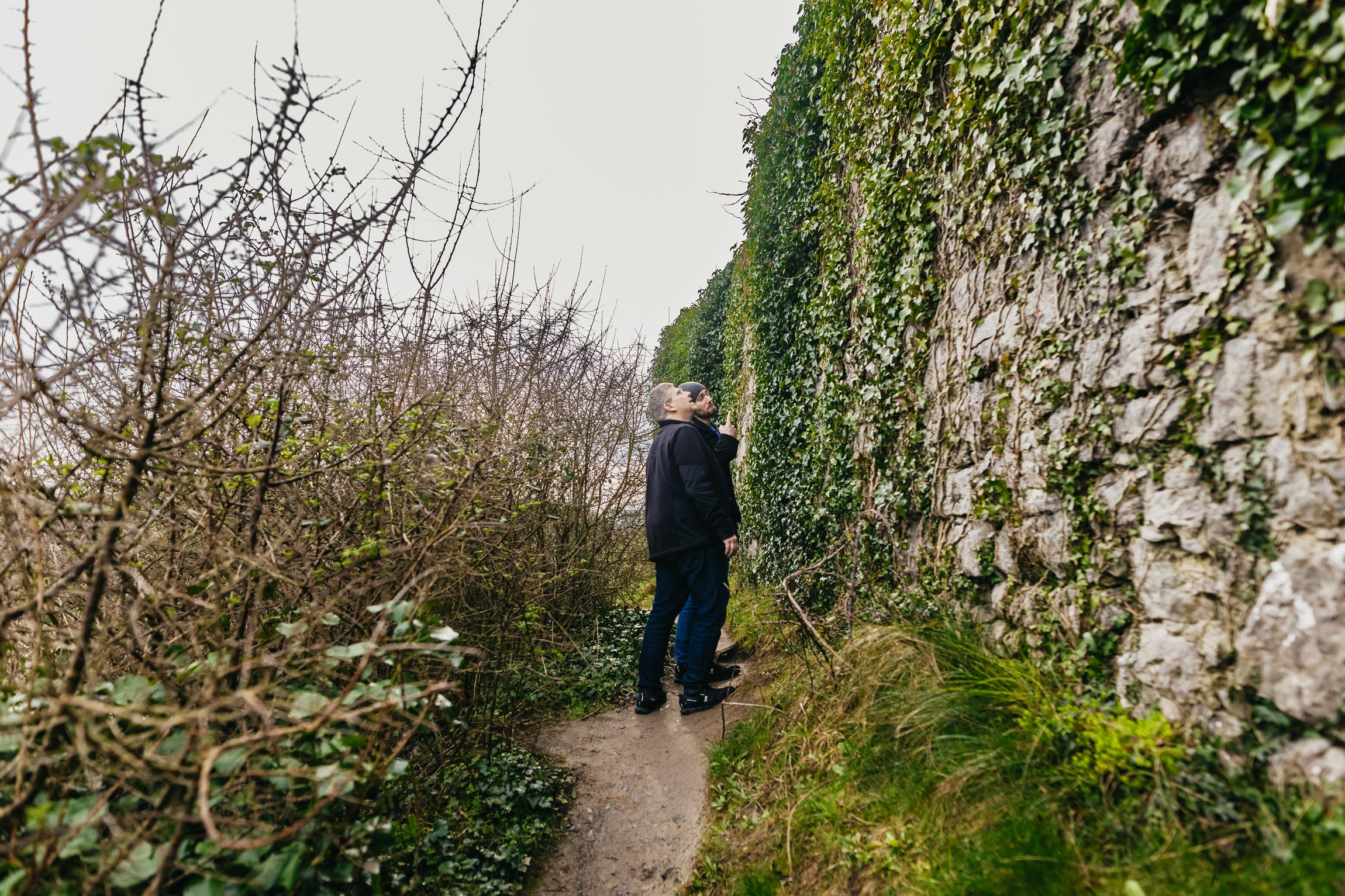 Cliffs of Moher & The Burren Full-Day Tour from Galway