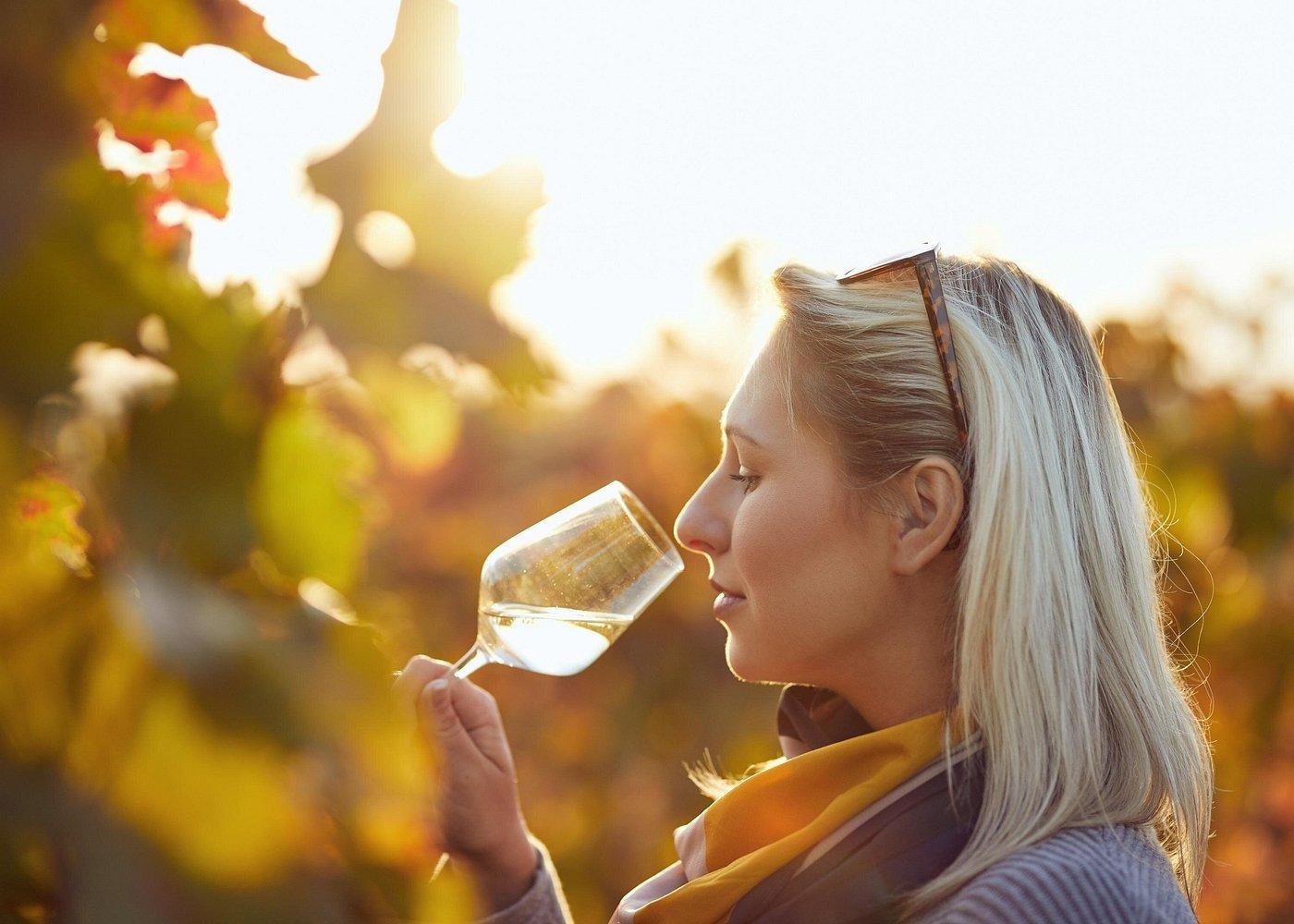 Silves Winery Tour with Tastings