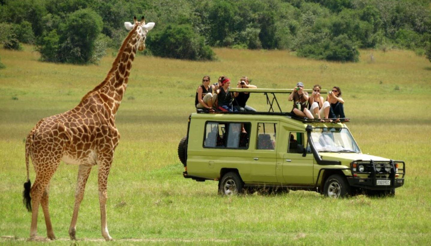 Half-Day Phezulu Safari Park Adventure from Durban