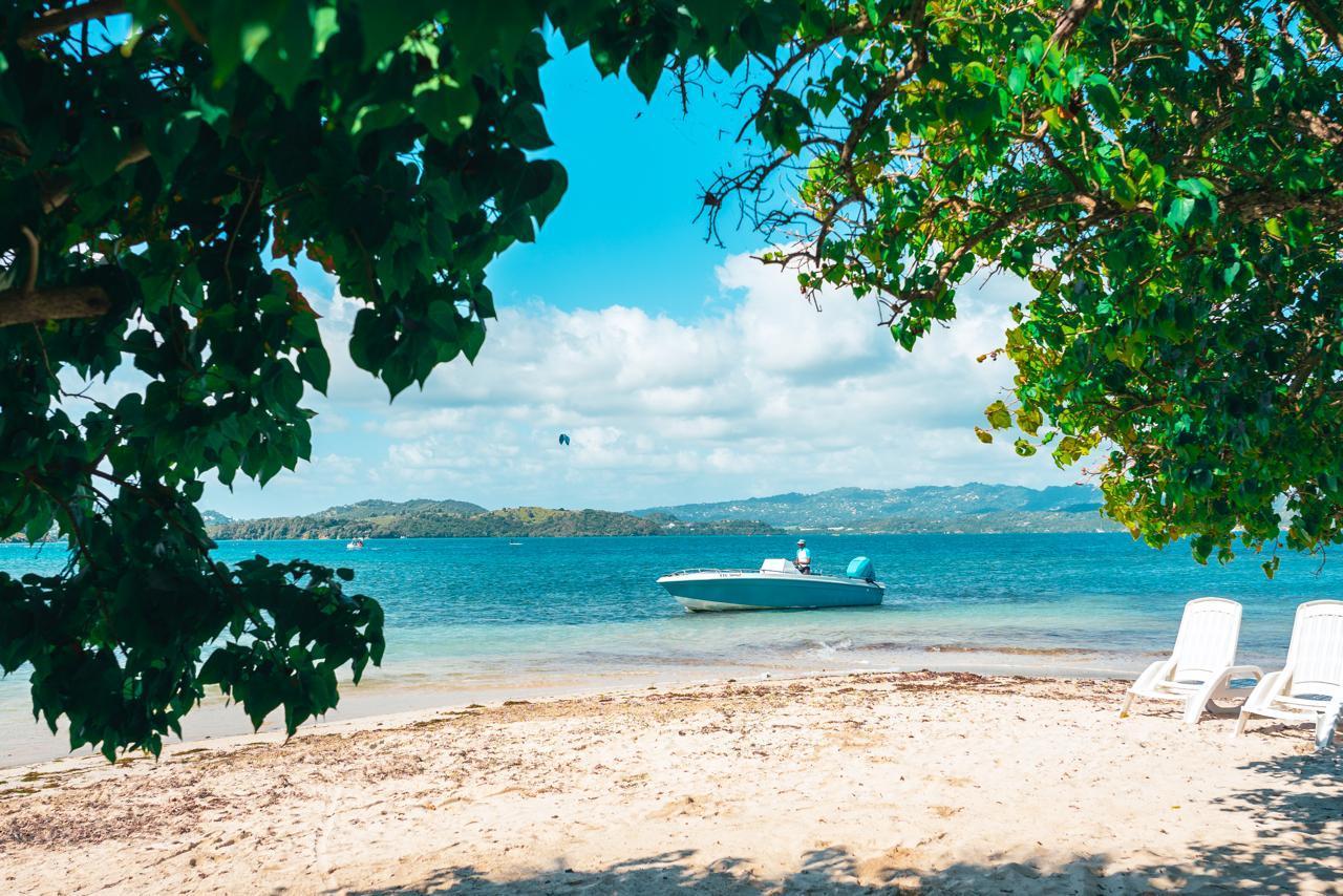 François Lagoon & White Sandbar Boat Excursion