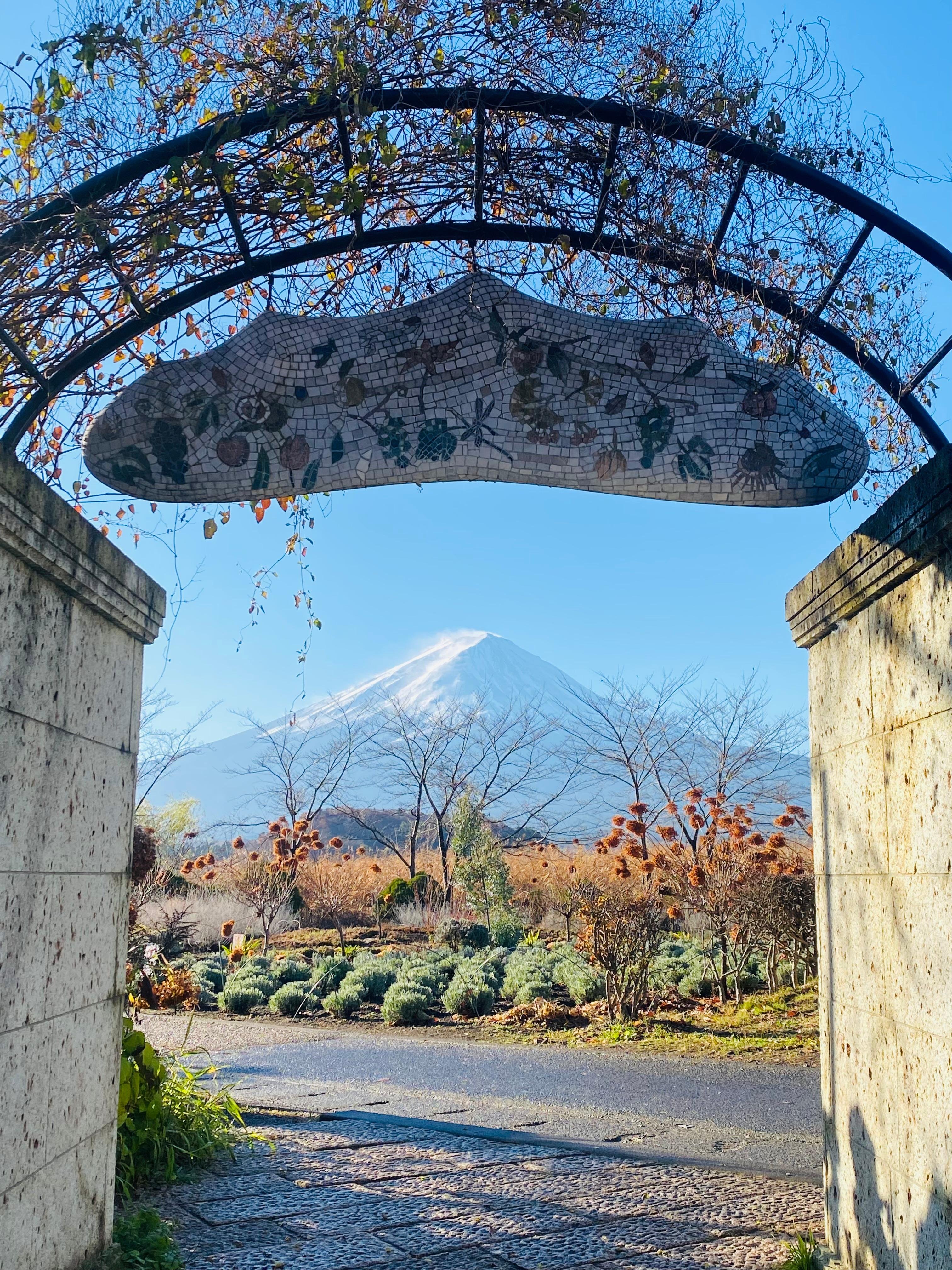 Mount Fuji Private Day Tour from Tokyo with English Guide