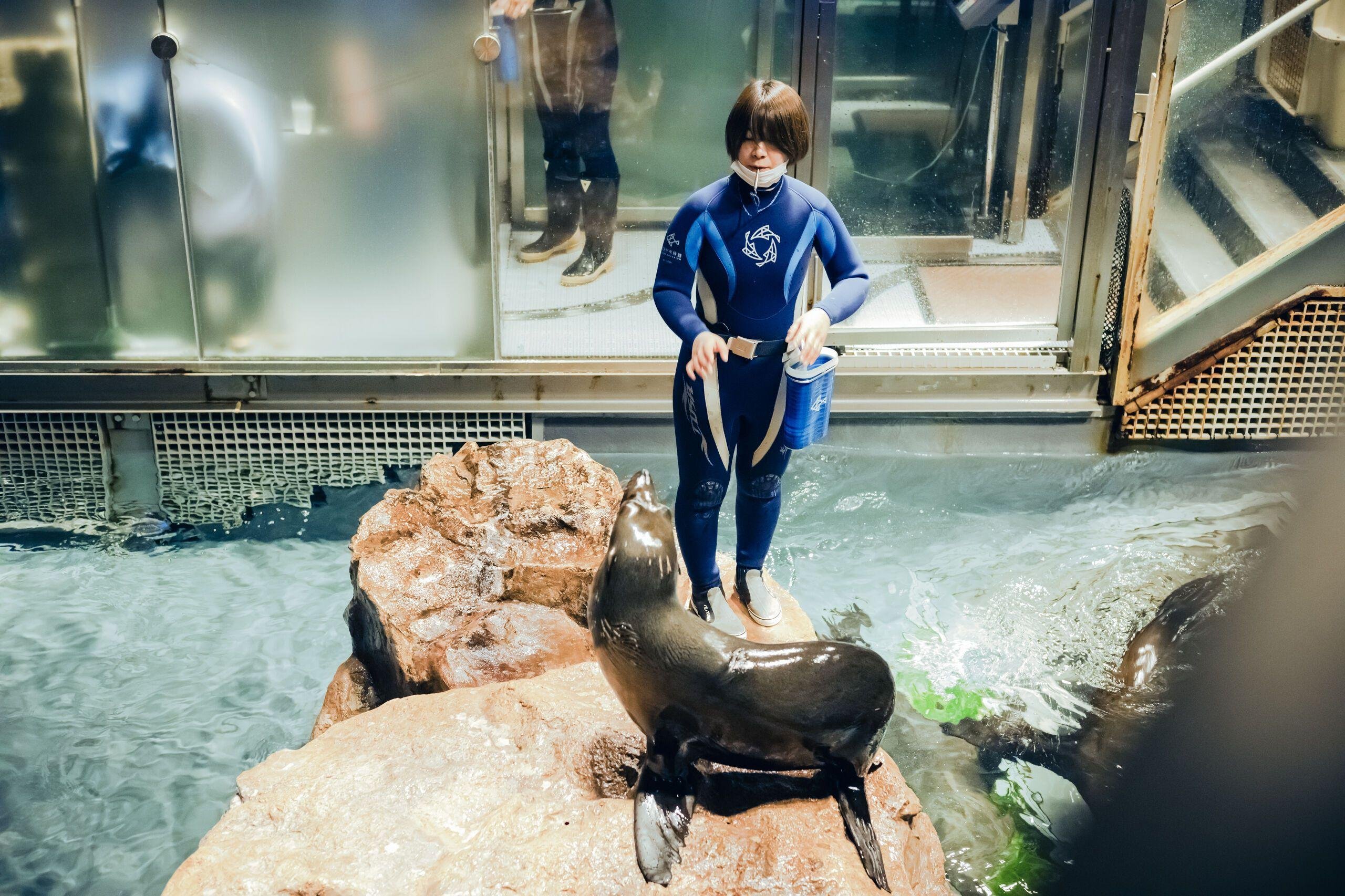 Sumida Aquarium Entry Ticket