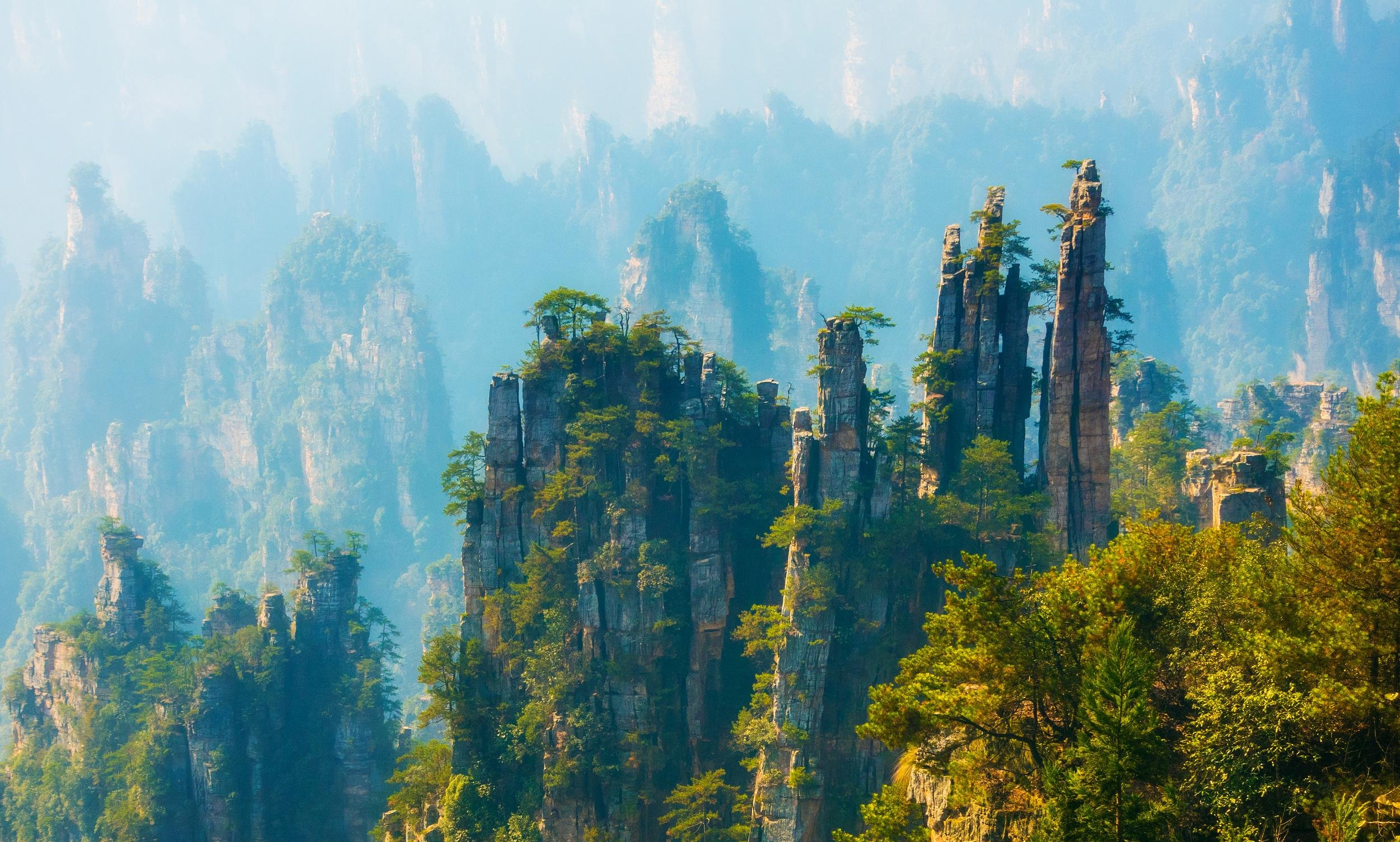 Zhangjiajie National Forest Park Full-Day Adventure