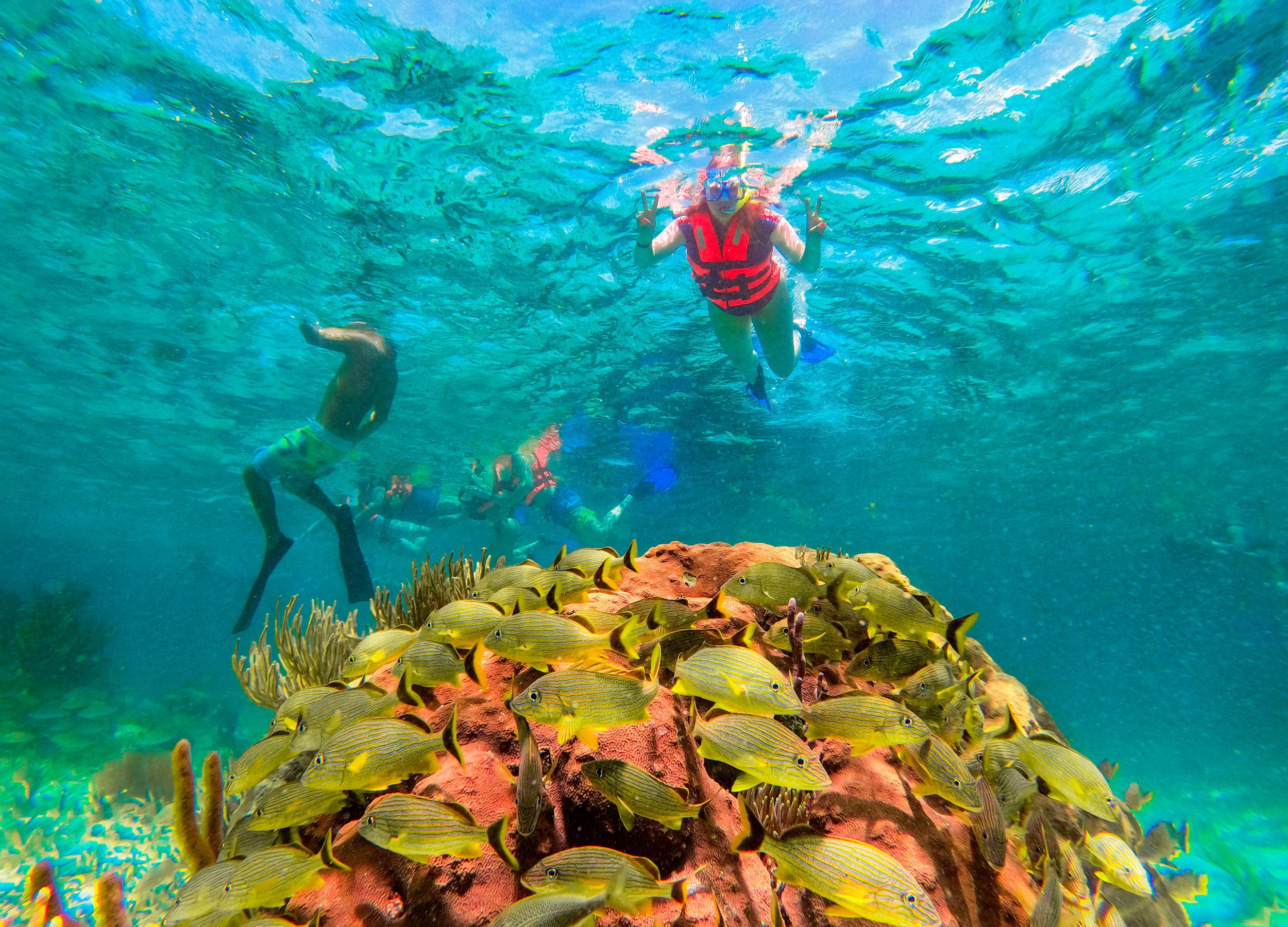 Puerto Morelos: Great Mayan Reef Snorkeling & Beach Lunch