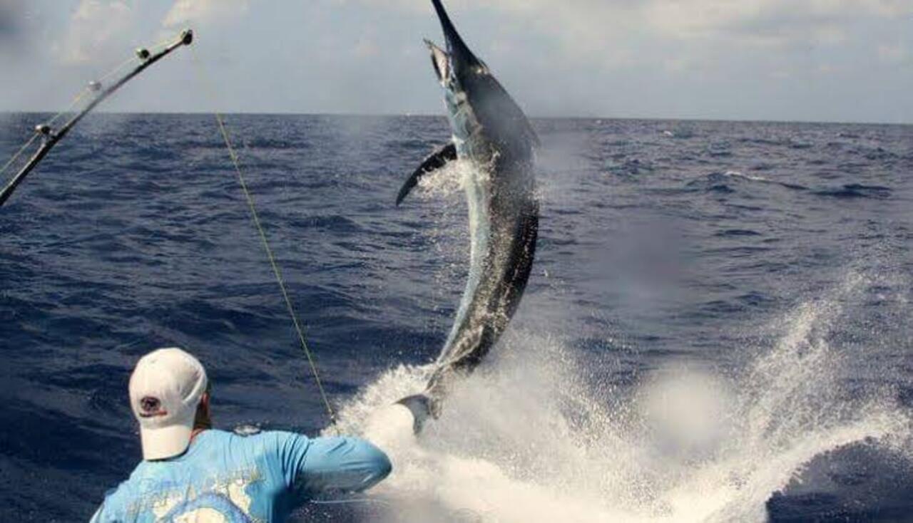 Private Deep Sea Fishing Expedition in Zanzibar