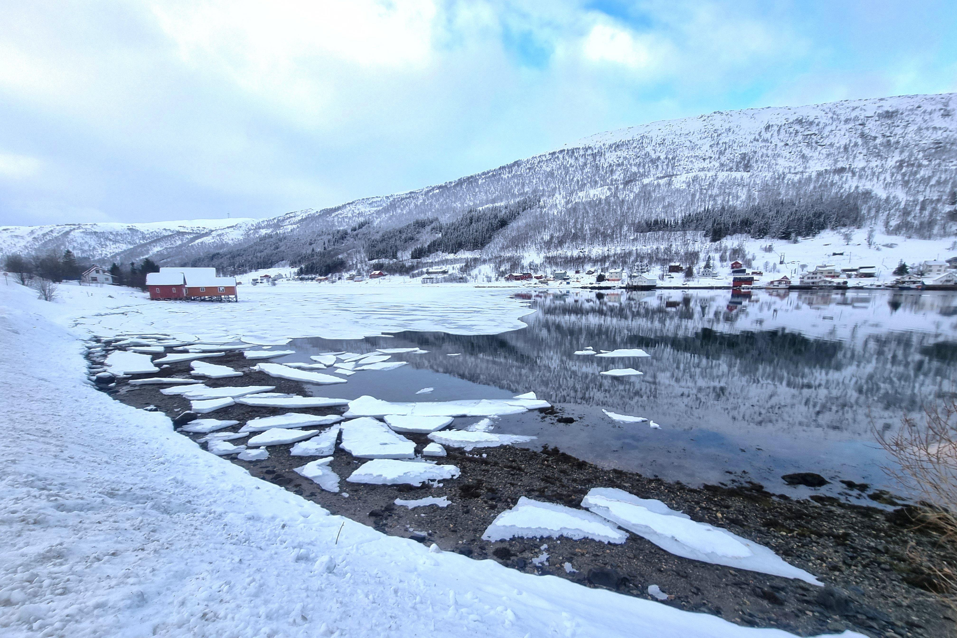 From Tromsø: Fjord Tour and Visit to Sommarøy in French - 2026 (Verified Reviews)