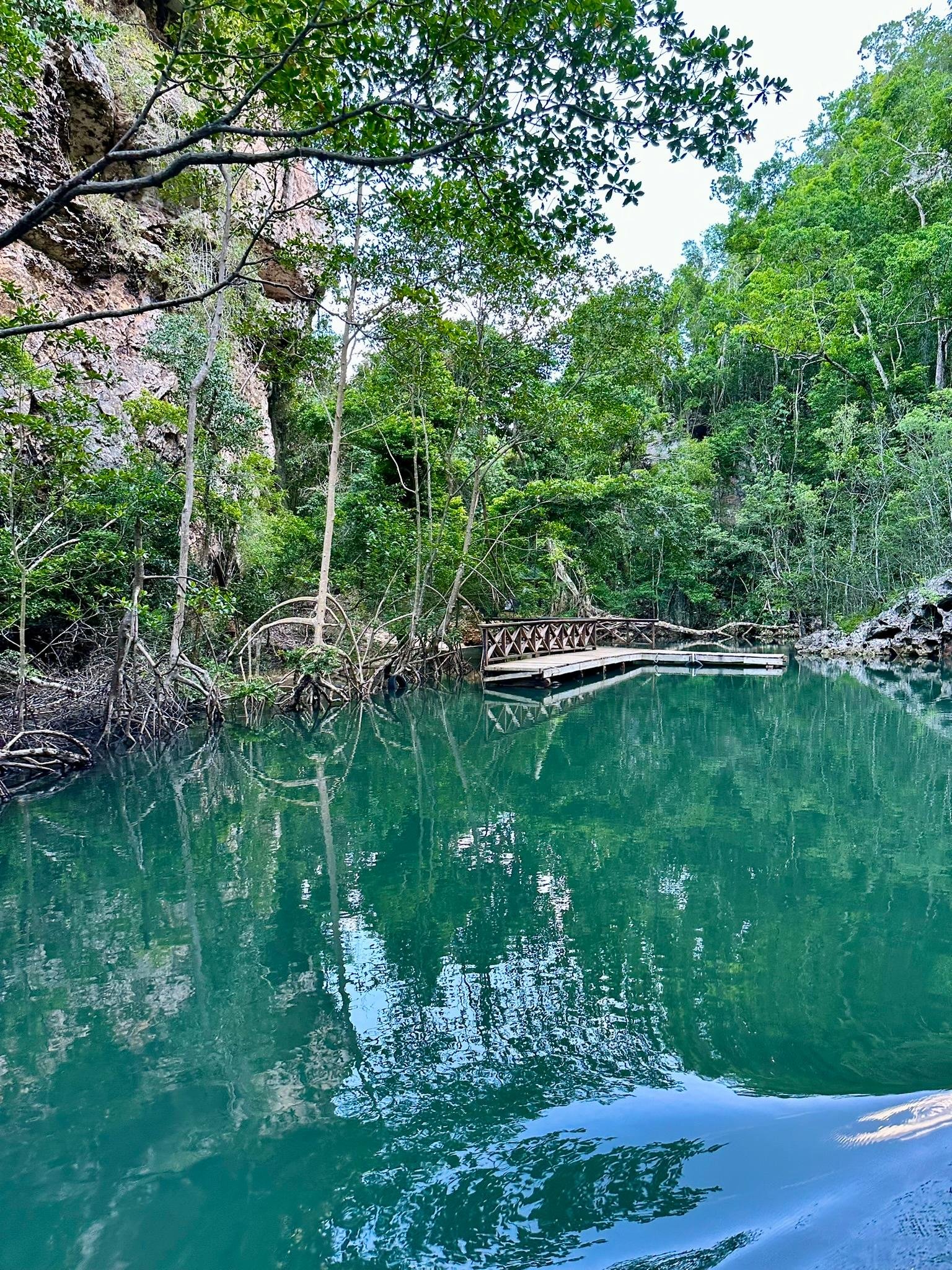 Dominican Republic 3-in-1: Los Haitises, Yanigua Falls & Montaña Redonda