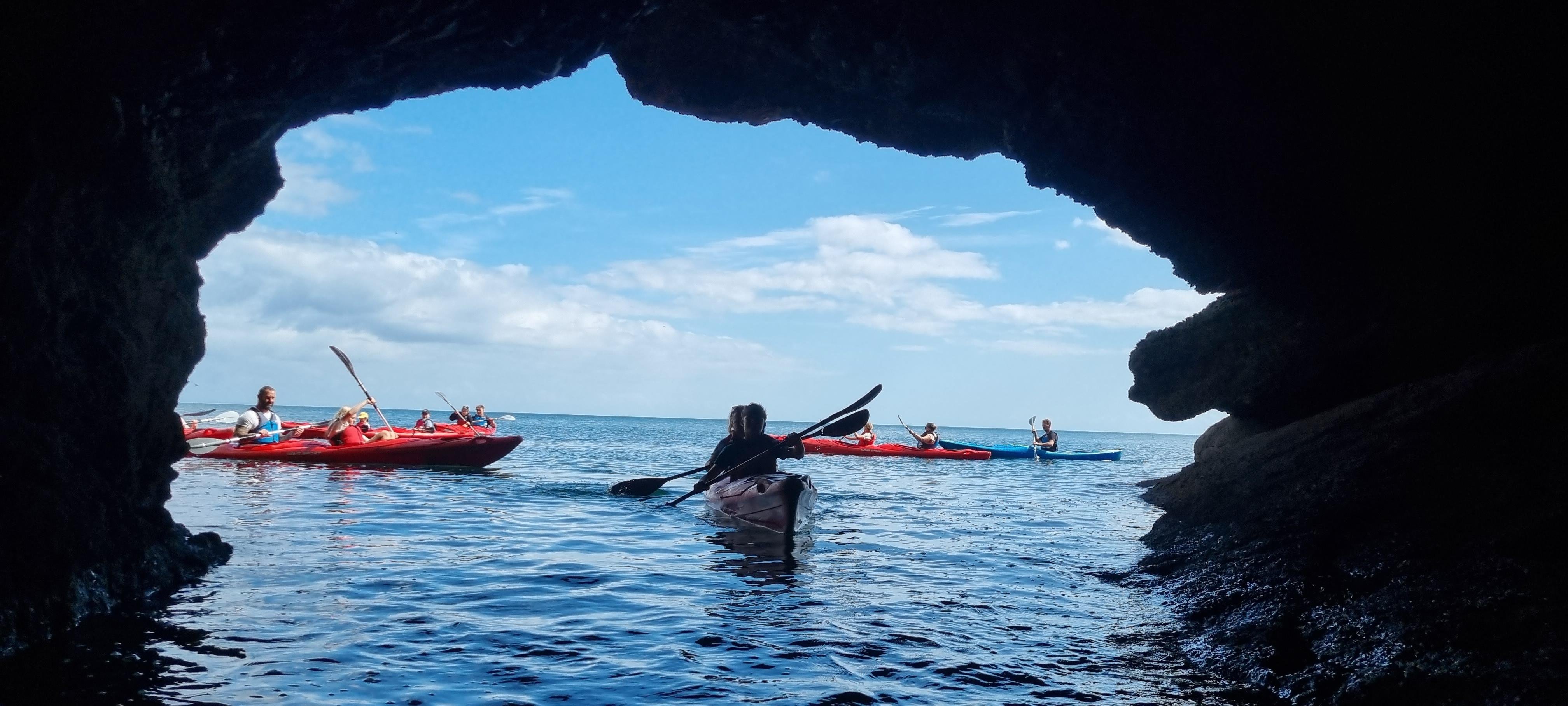 Sea Kayak Safari: Wildlife, Caves & Bushcraft Adventure