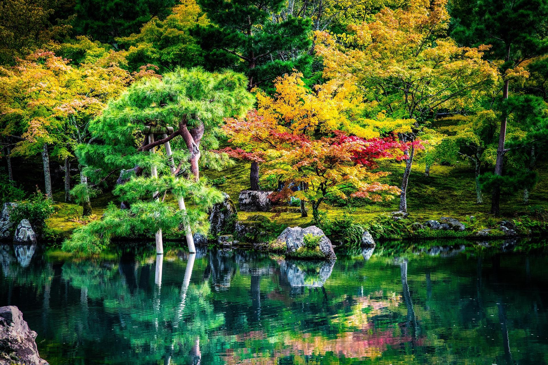 Osaka: Nagai Park & Botanical Garden Private Photo Walk
