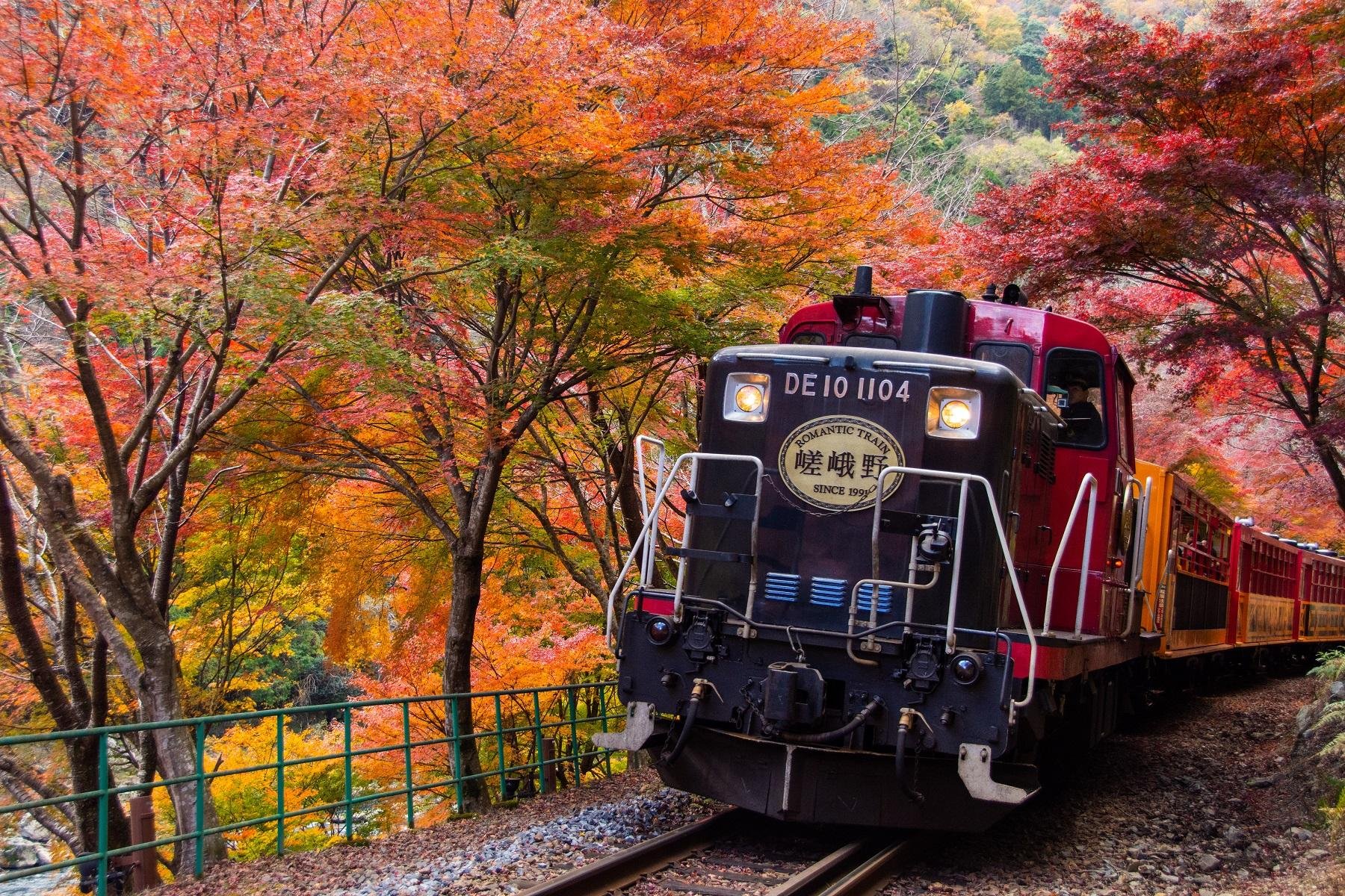 Kyoto Sagano Romantic Train & Hozugawa River Boat Adventure