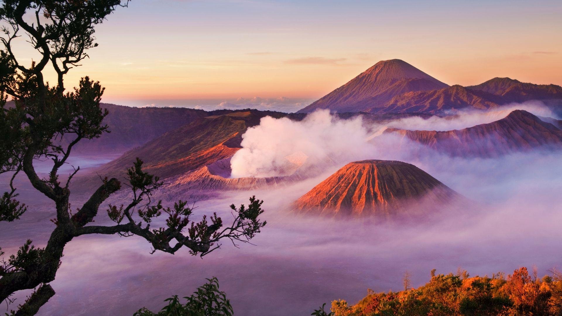 5-Day Java Adventure: Bromo, Ijen, Tumpak Sewu & Ancient Temples