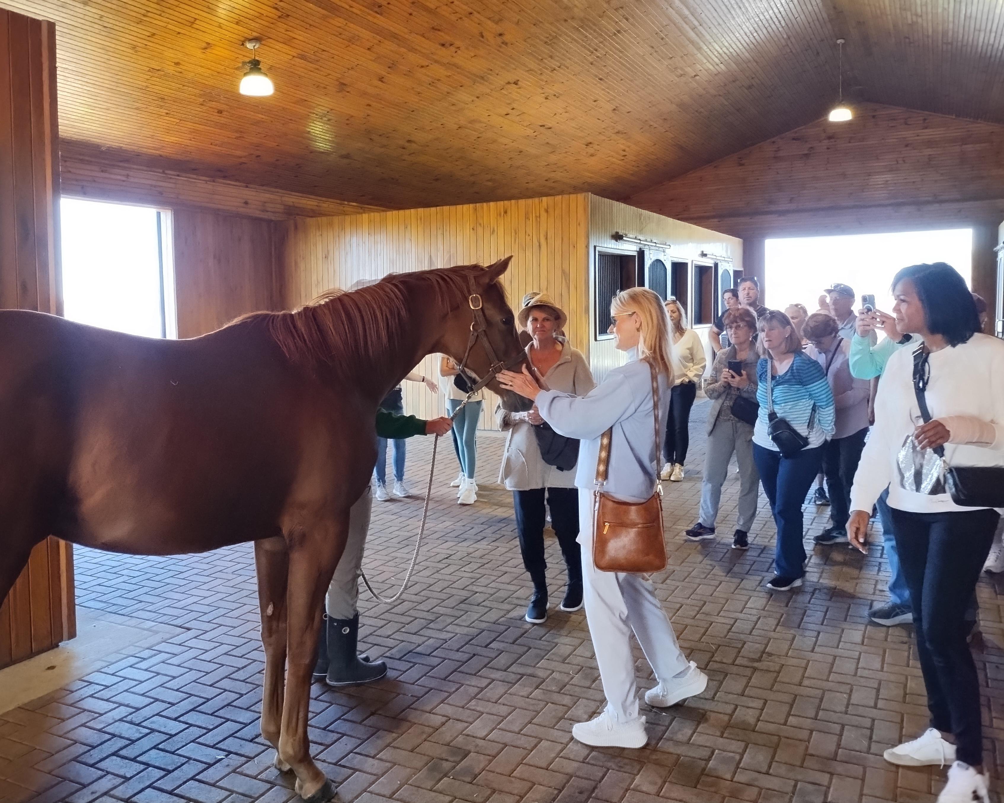Bluegrass Horse Farm & Keeneland Track Experience
