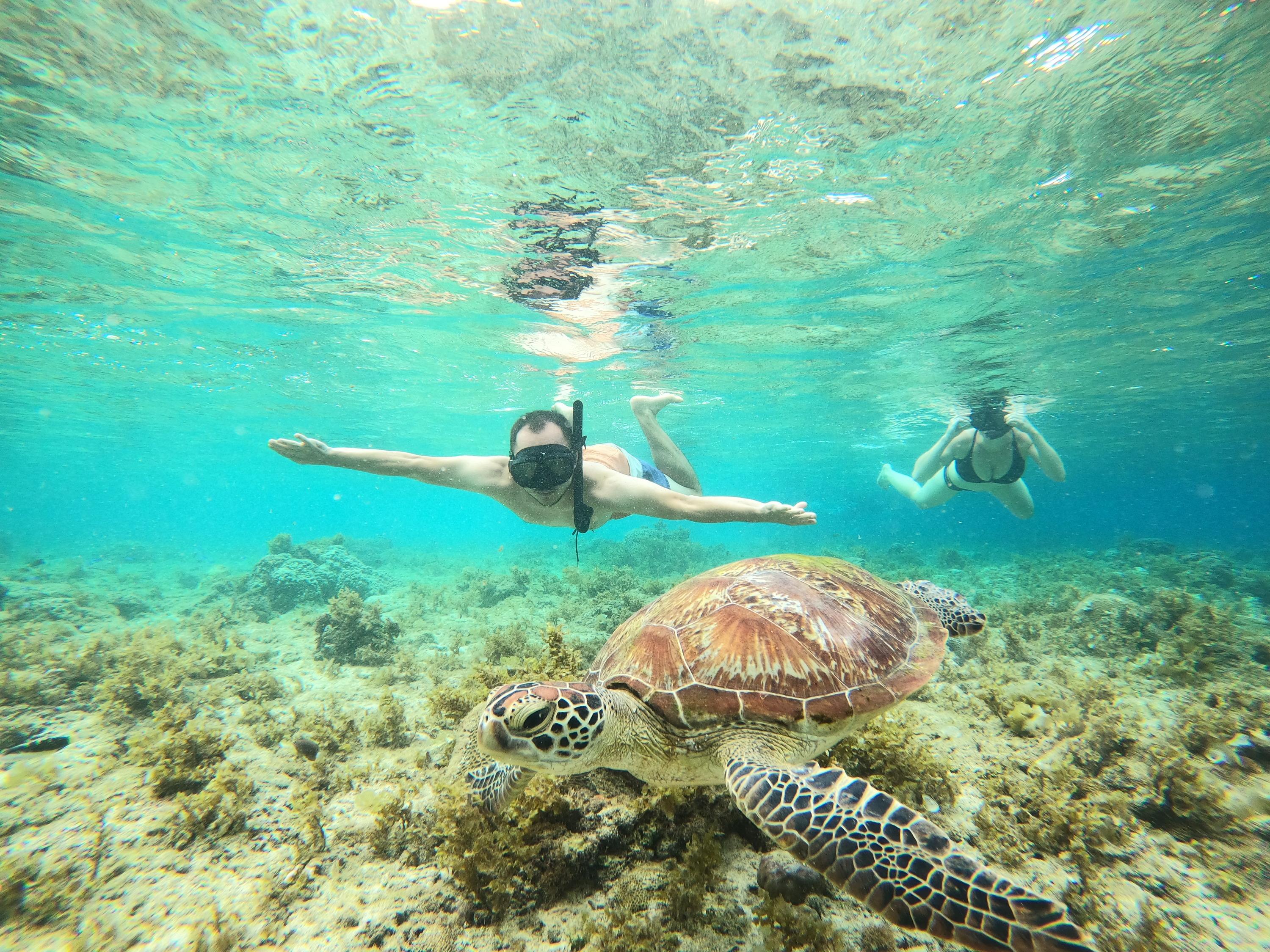 Cebu Full-Day Moalboal Sardine Run & Kawasan Canyoneering