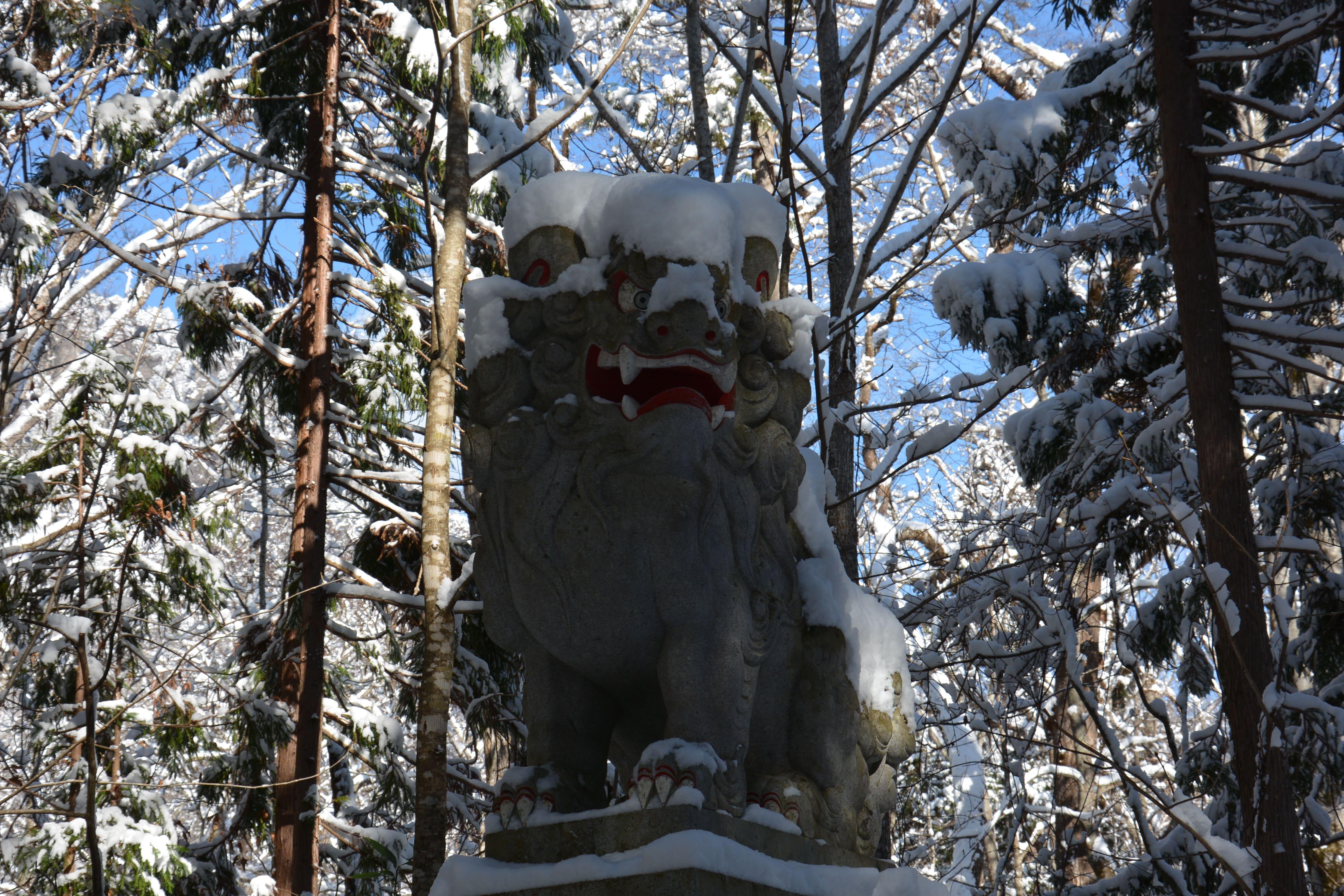 Nagano Private Day Tour: Snow Monkeys & Togakushi Shrine