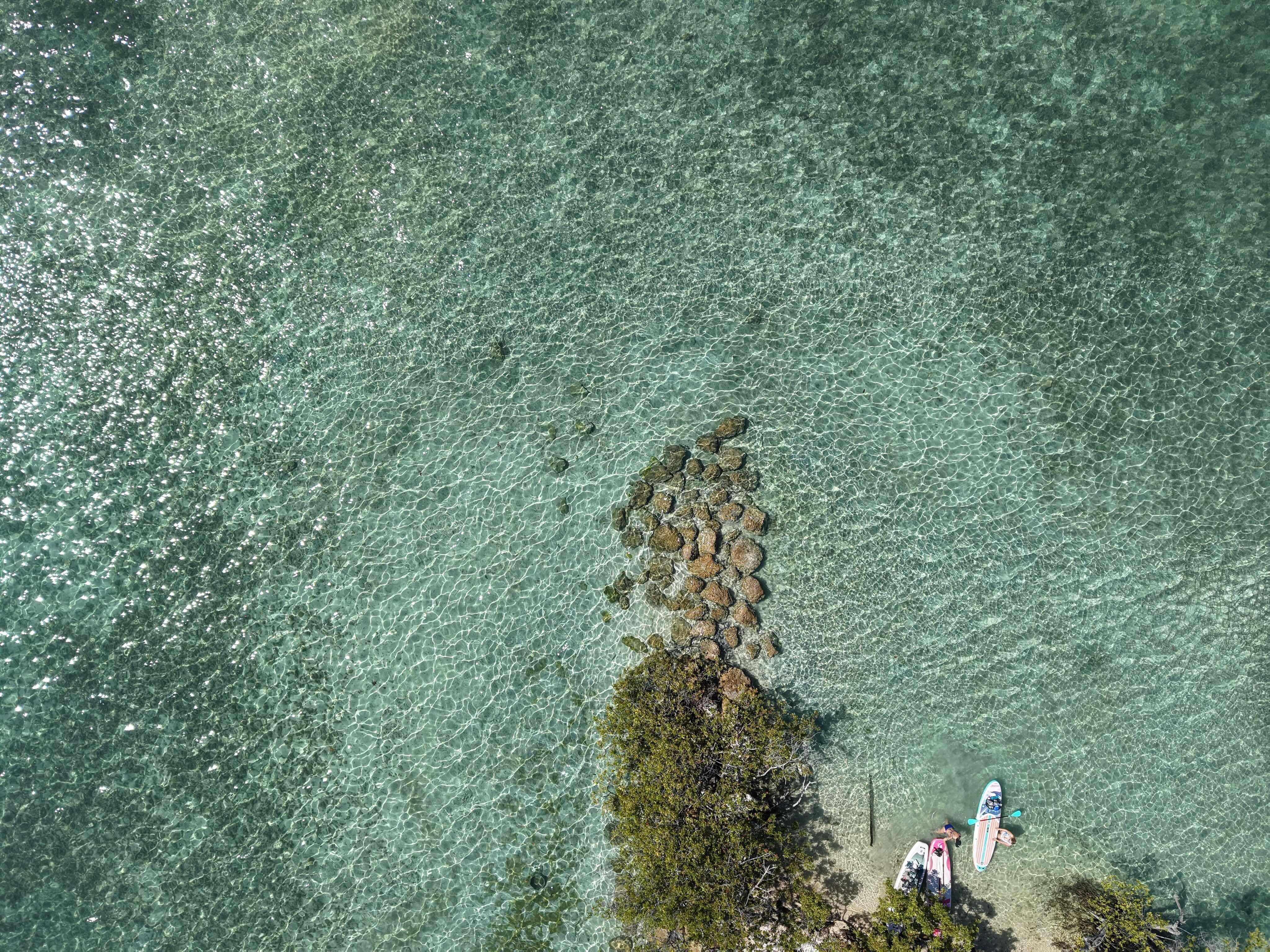Raccoon Island Miami tour — Biscayne Bay wildlife boat cruise — image 5