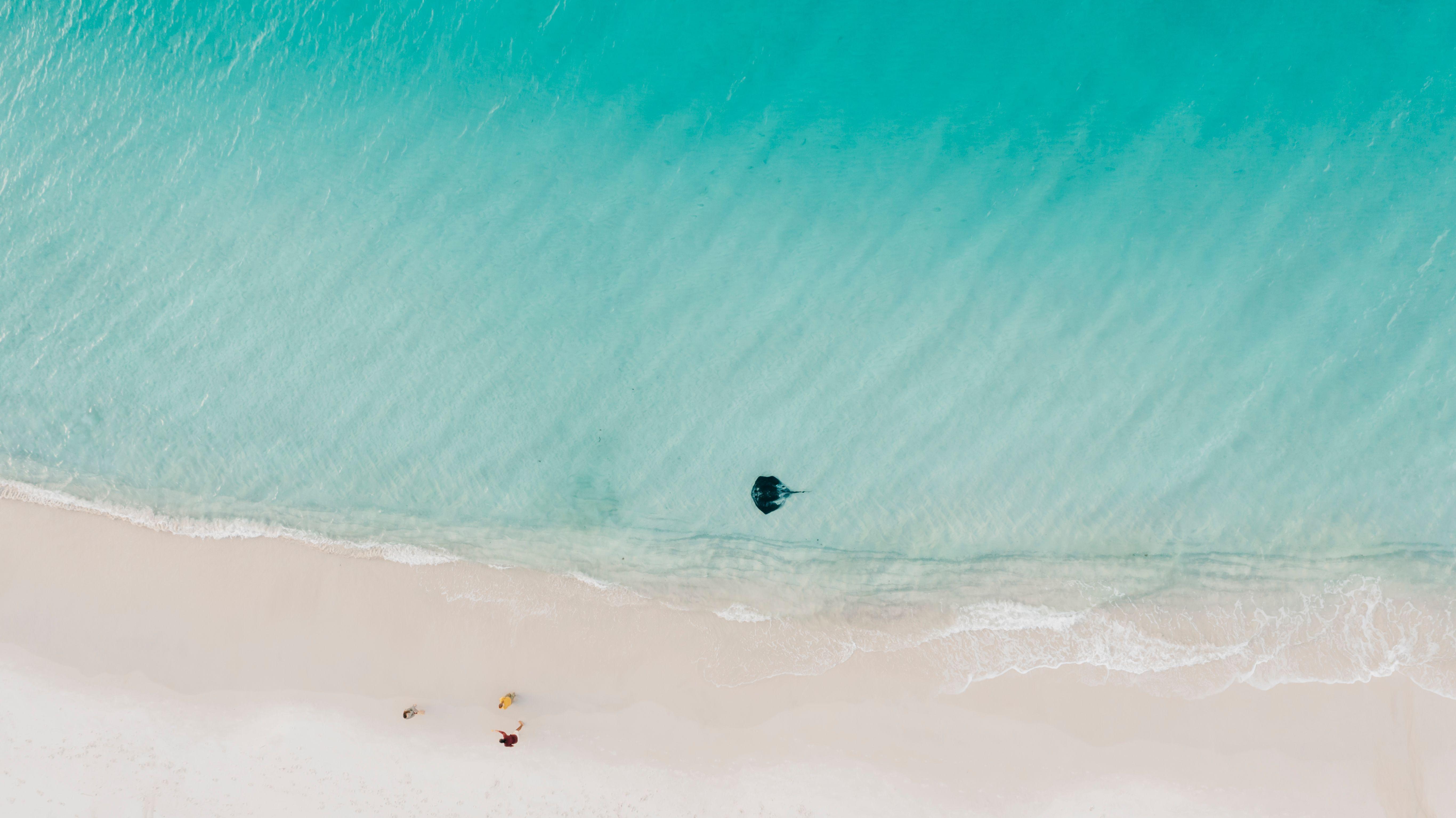 Jervis Bay Wildlife & Beach Discovery