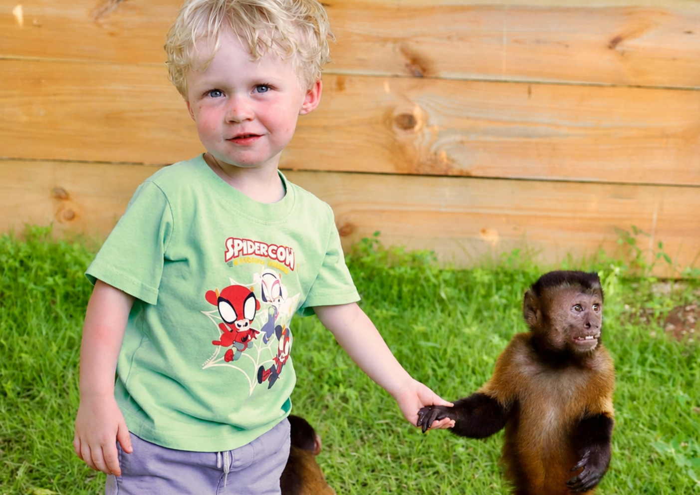 Punta Cana Patron Monkey Sanctuary