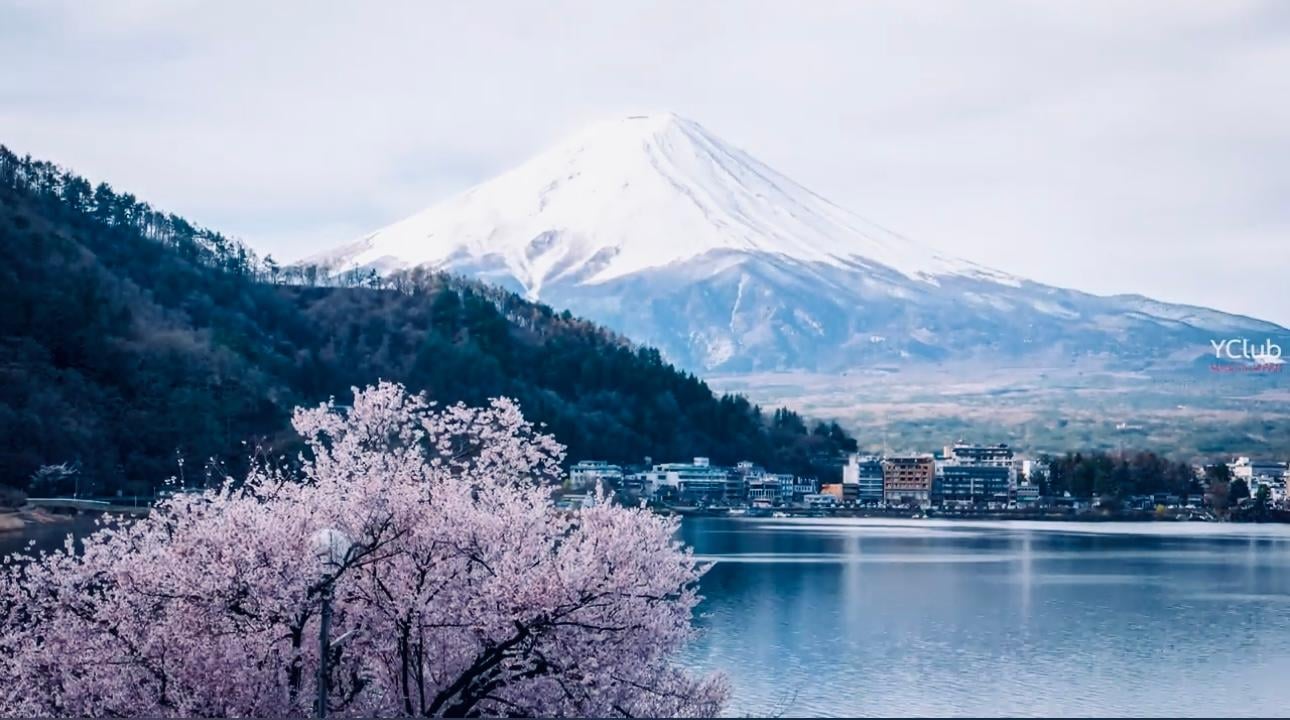 Tokyo to Mt. Fuji Private Luxury Day Tour with Hotel Pickup