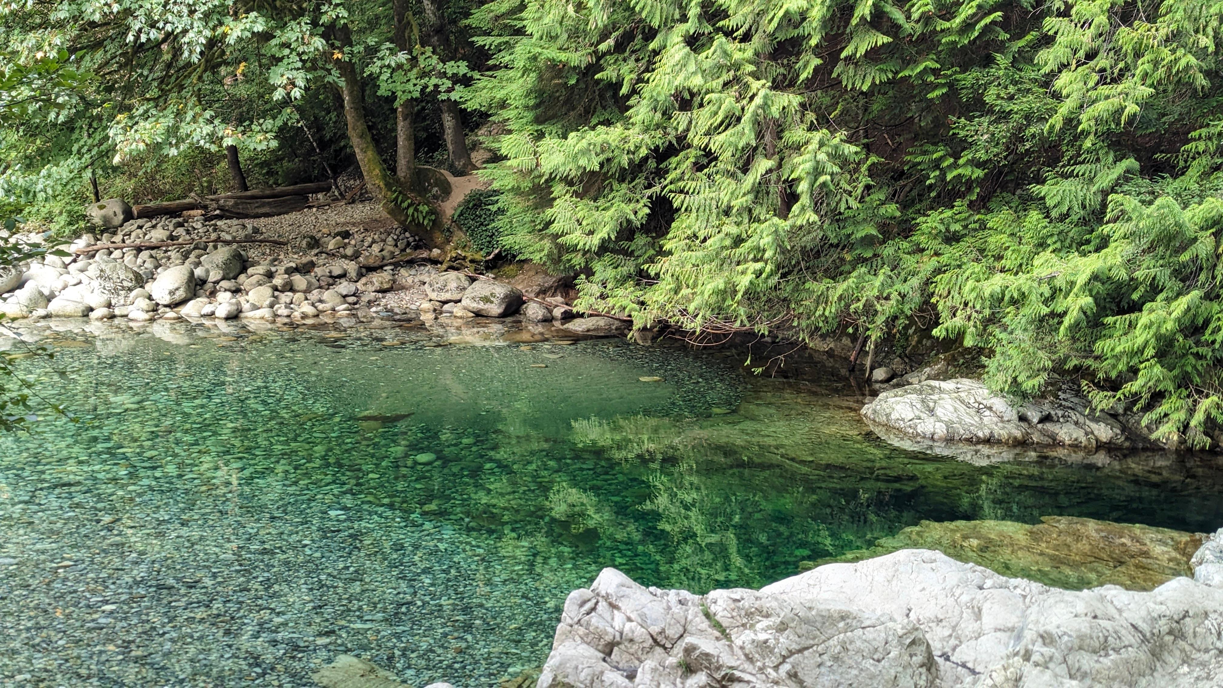 Vancouver North Shore & Capilano Canyon Lights Explorer