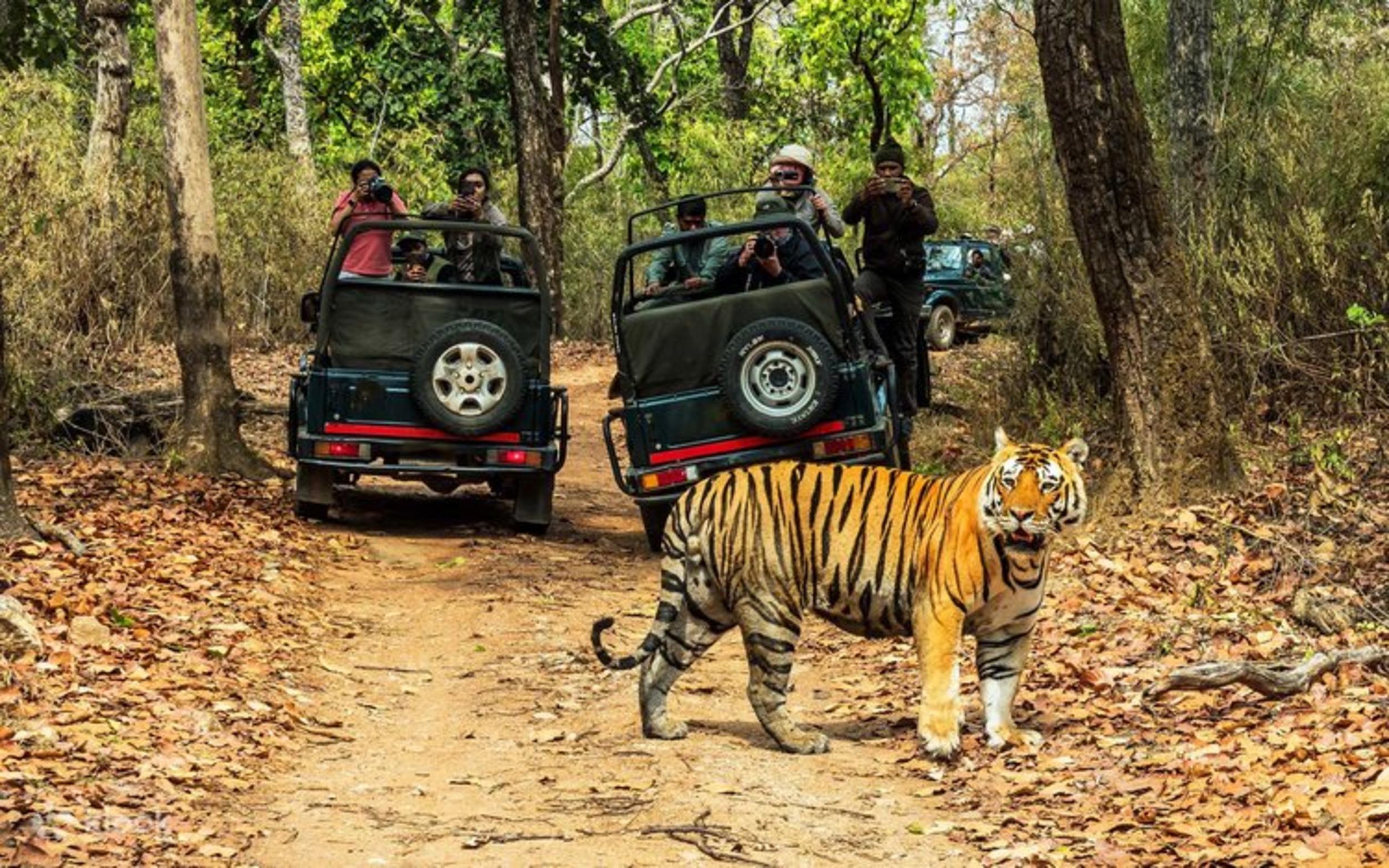 6-Day Golden Triangle & Ranthambore Tiger Safari