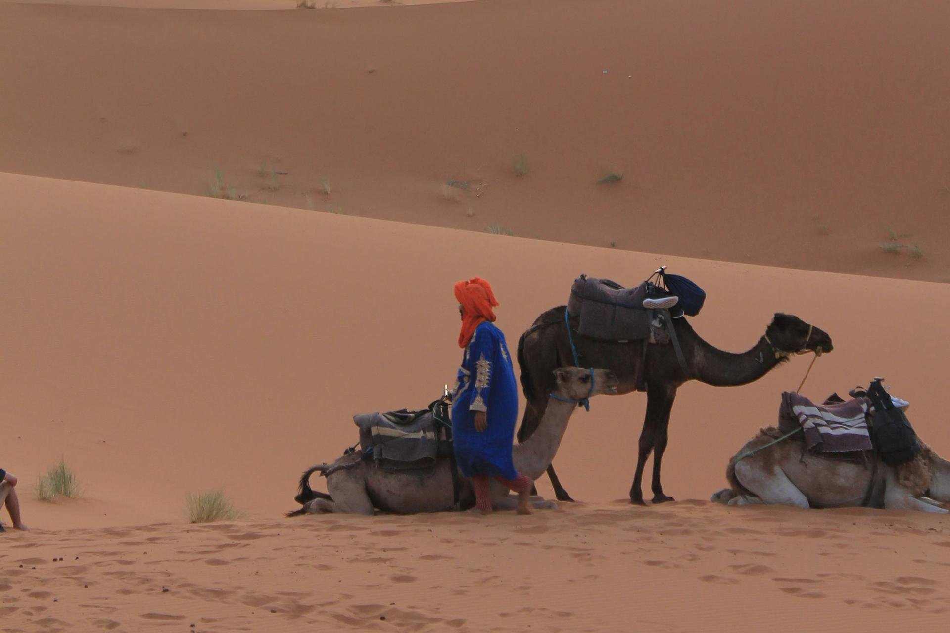 Private 5-Day Marrakech to Zagora & Merzouga Desert Tour