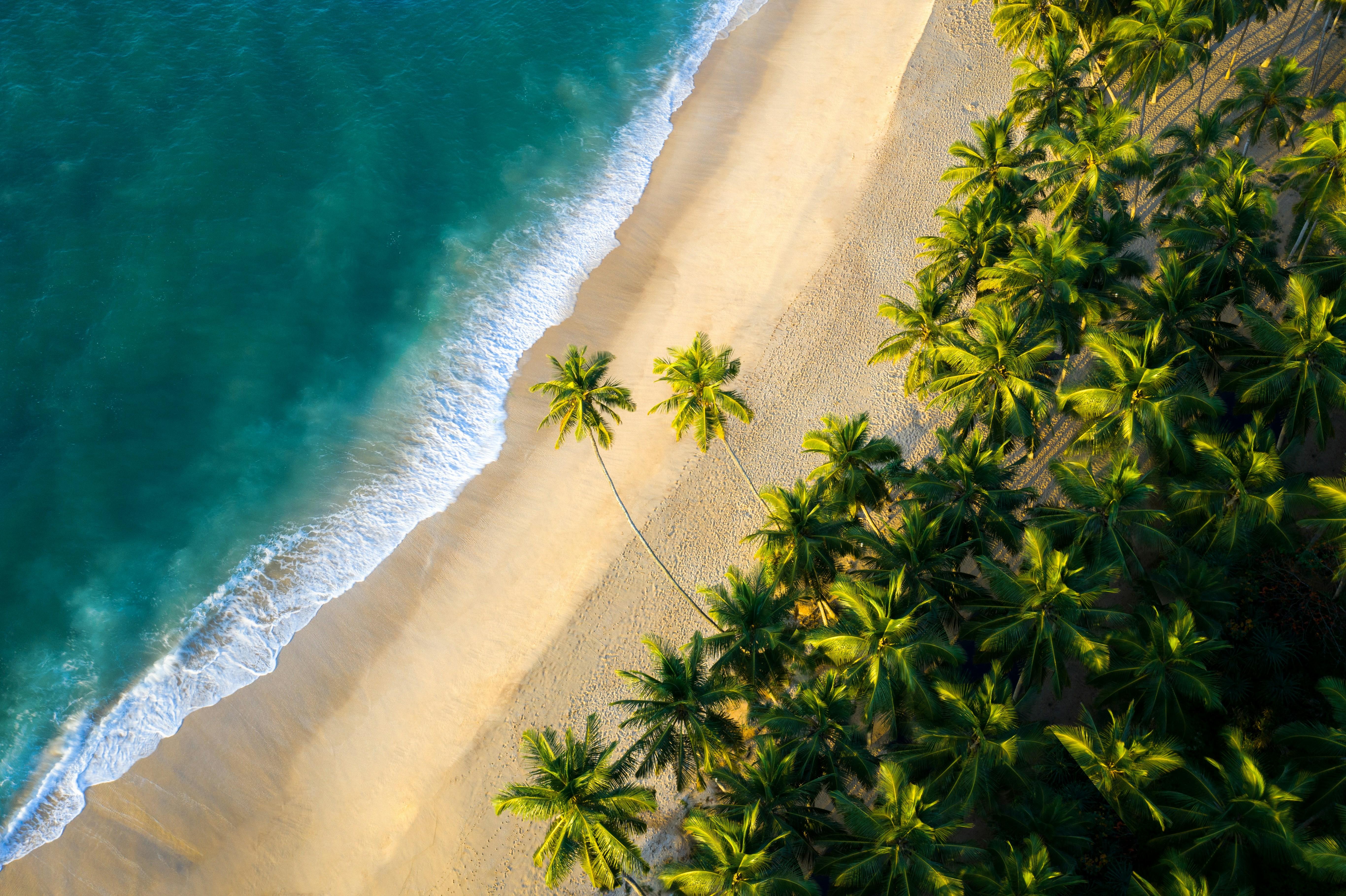 7-Day Private Sri Lanka Highlights Tour (2026)