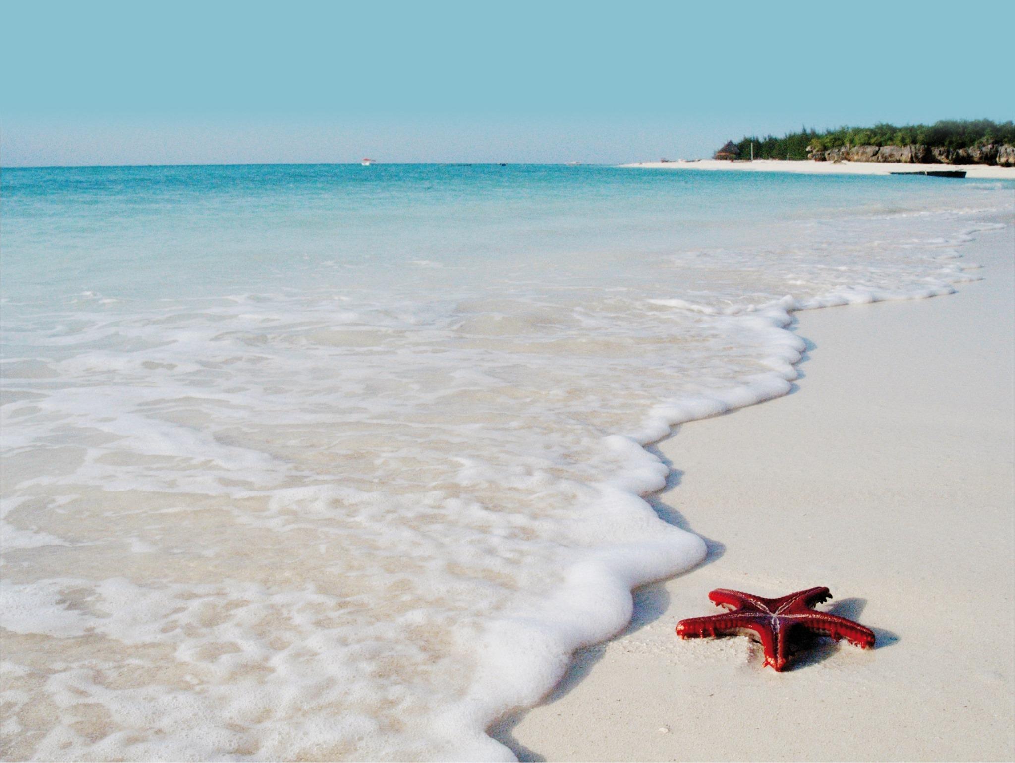 Zanzibar Full-Day Adventure: Caves, Monkeys, Turtles & Paje Beach
