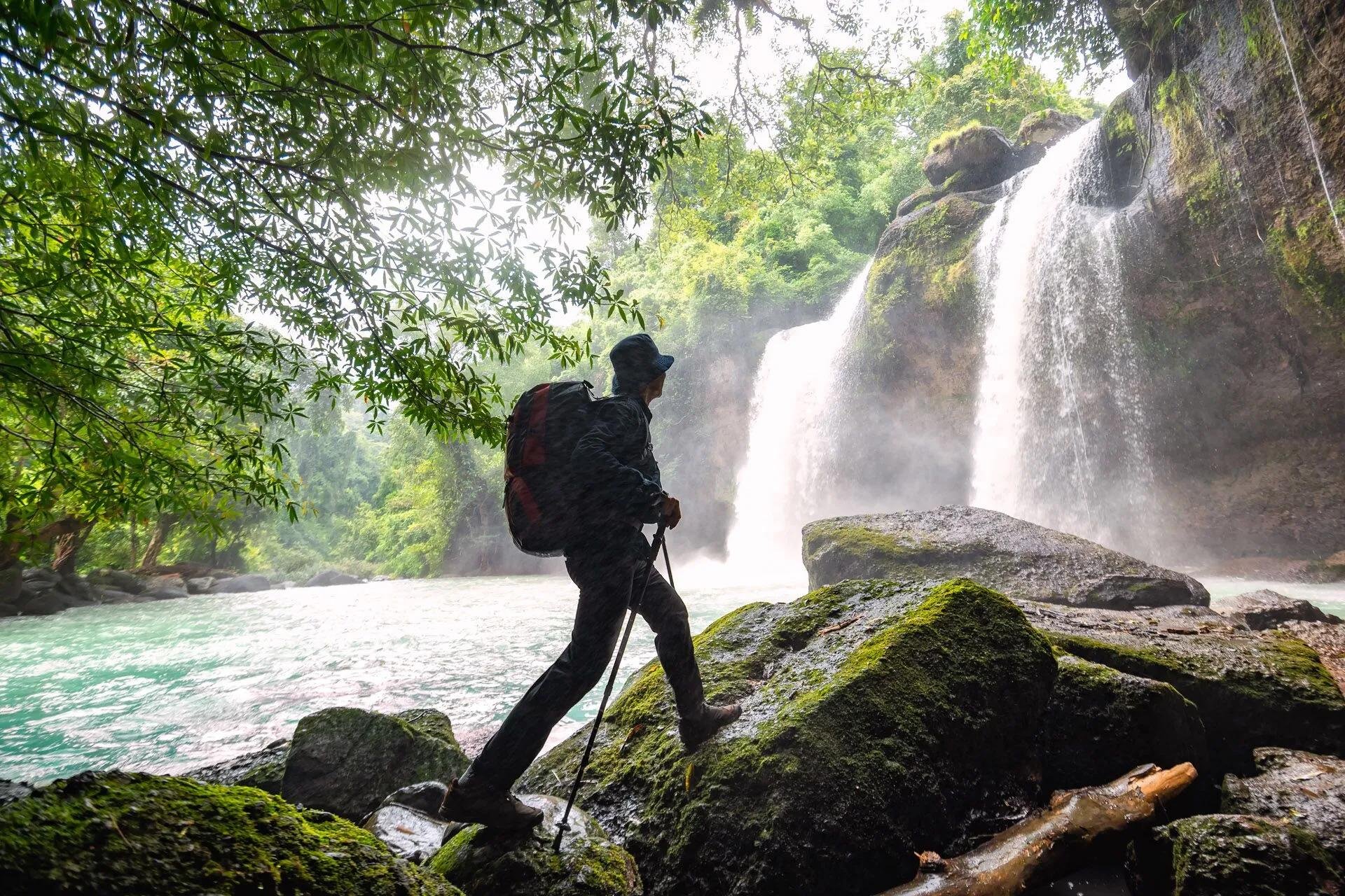 Khao Yai National Park Full-Day Trek & Waterfall Adventure