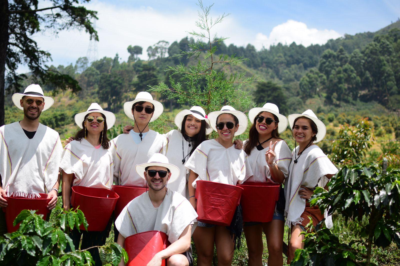 Urban Coffee Farm Experience with Cable Car & Trolley