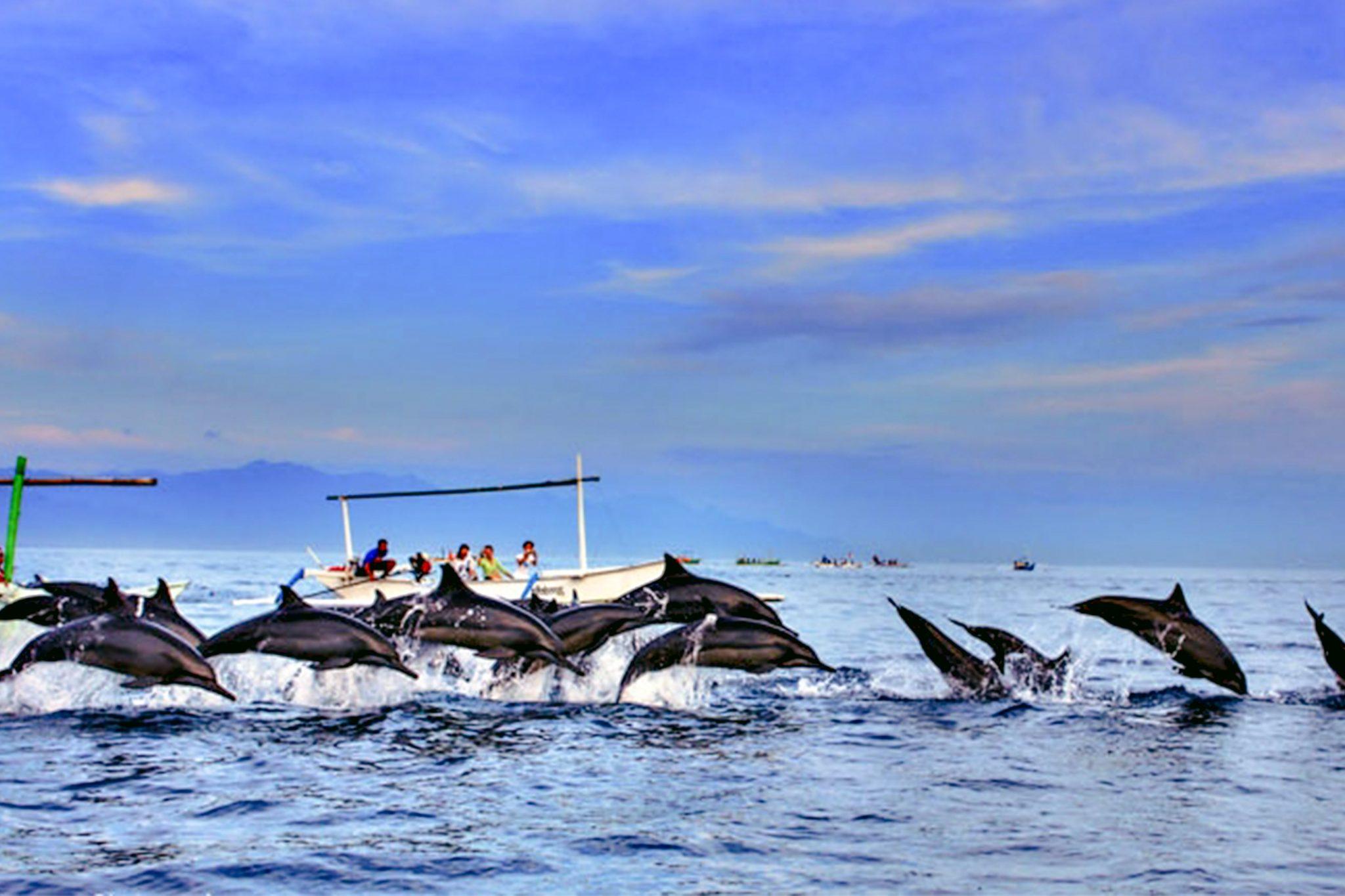 Lovina Dolphin Encounter, Waterfall & Traditional Lunch