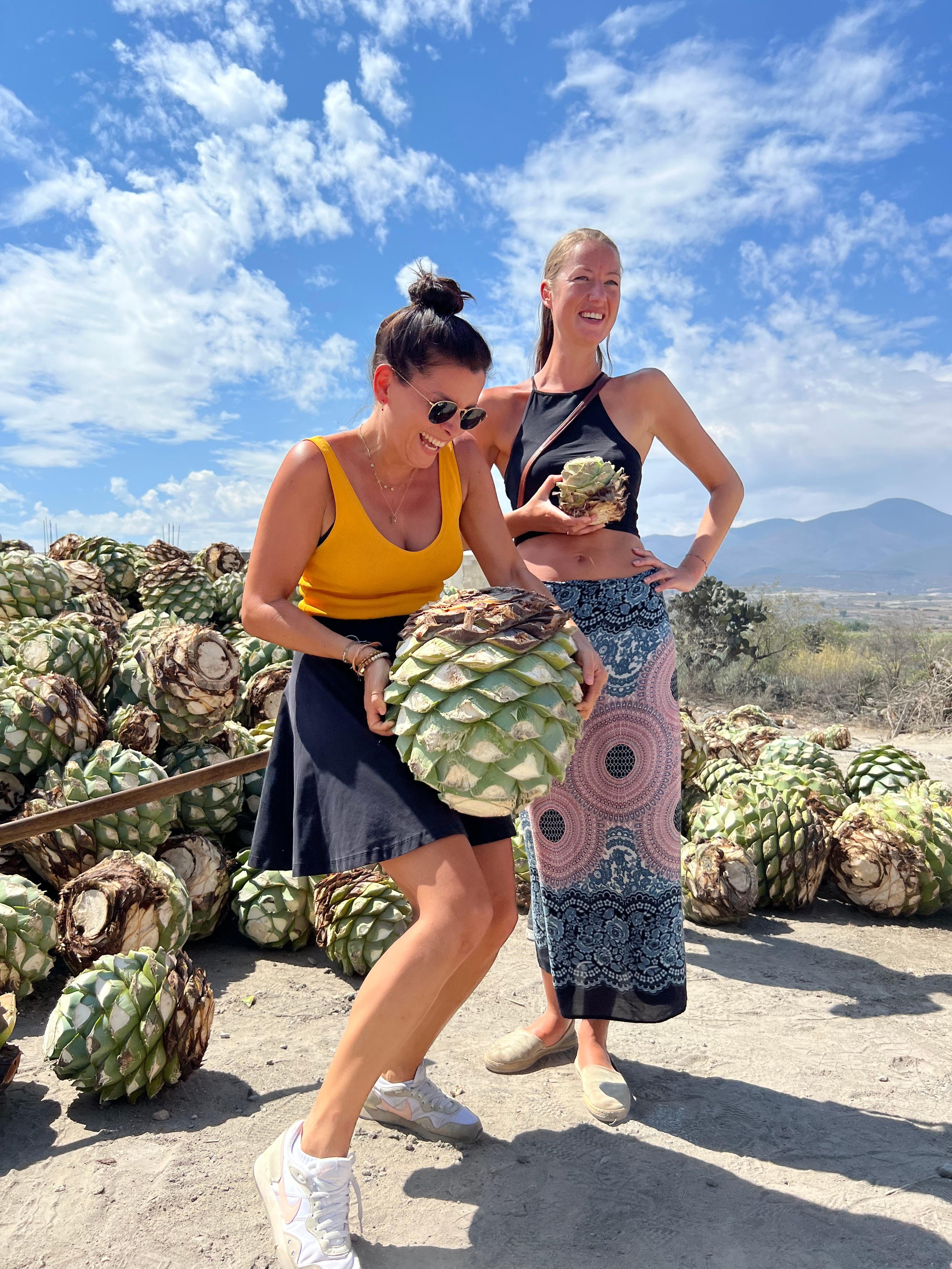 mezcal tasting in Oaxaca — photo 9