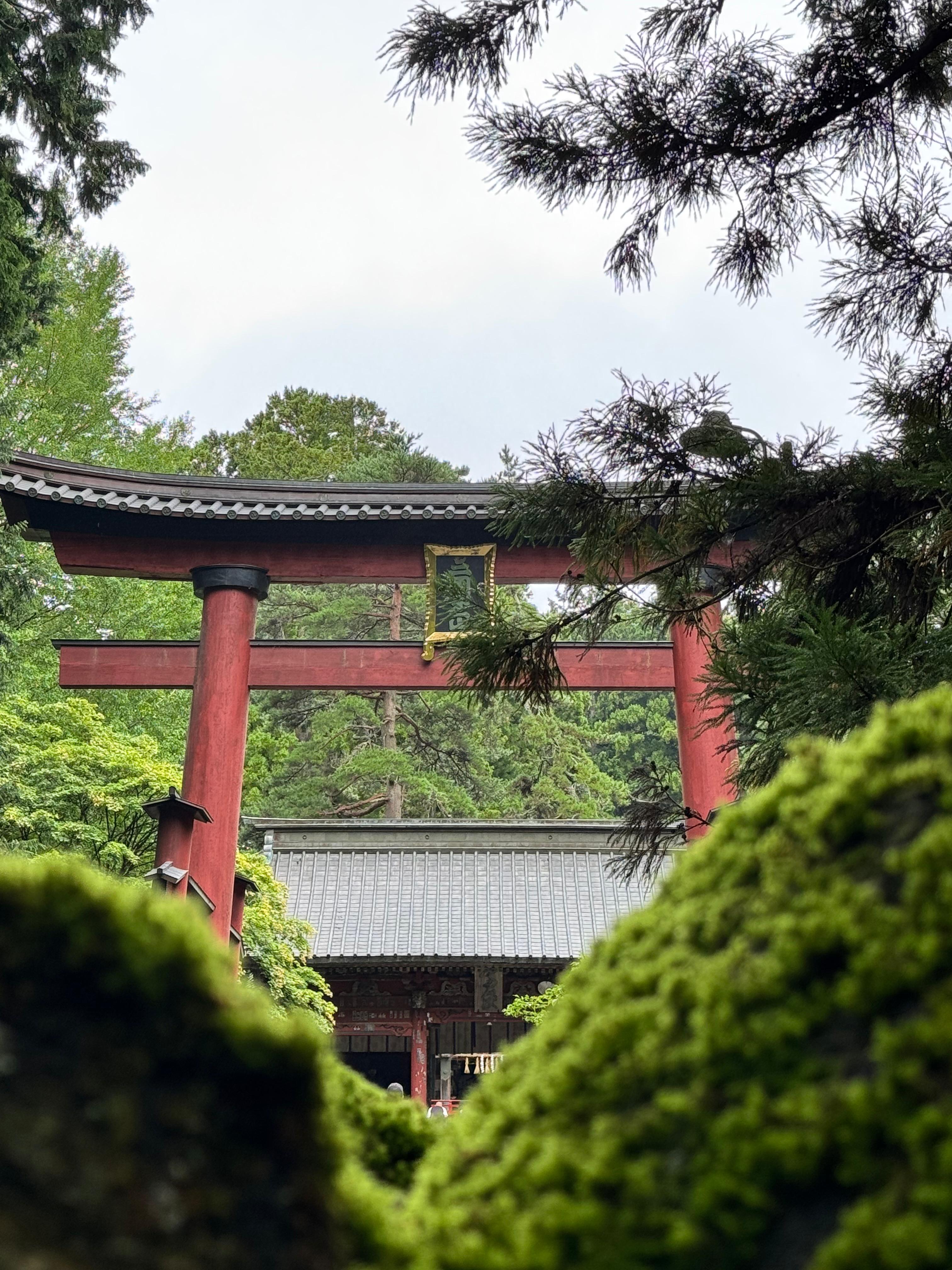 Tokyo to Mt. Fuji & Hakone: Private Full-Day Tour with English Driver