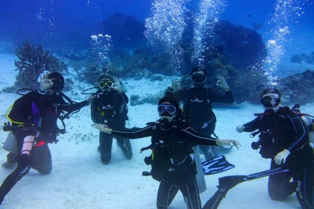 Dual Dive Adventure: Cenote & Caribbean Reef in Tulum