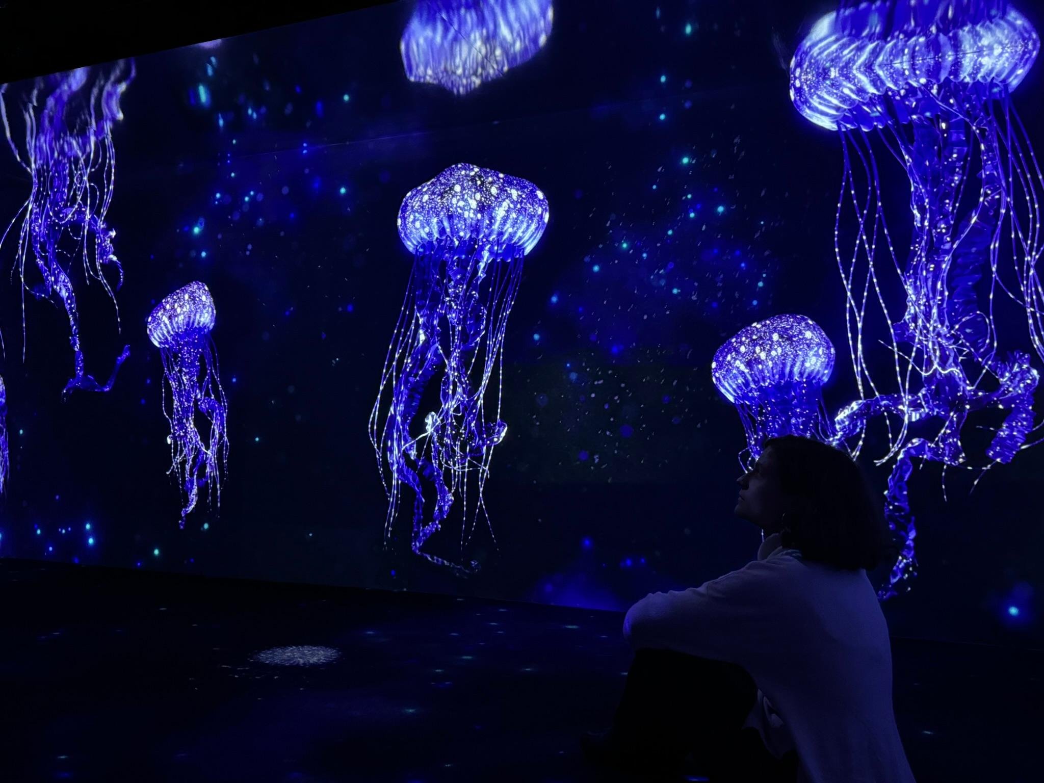 Lisbon Oceanarium: General Admission Ticket