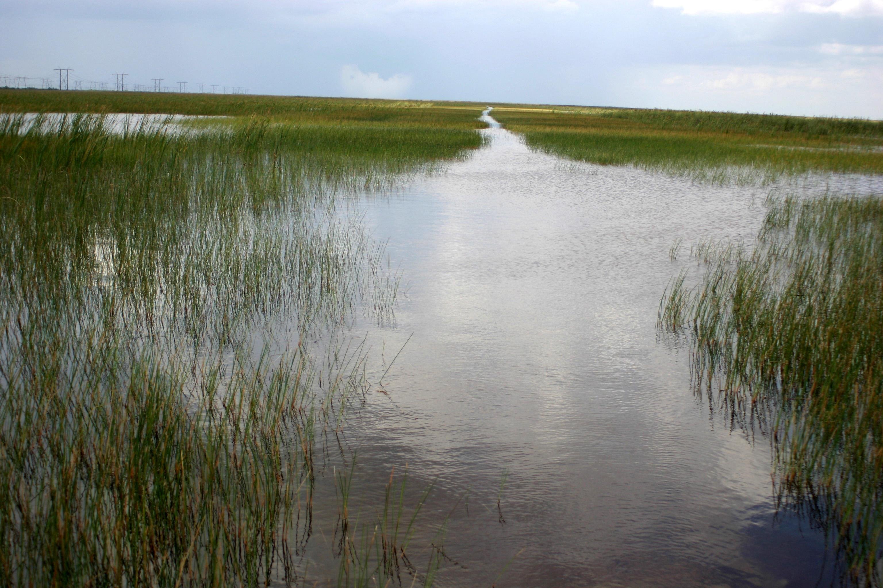 Everglades Airboat Safari & Wildlife Exhibit from Miami